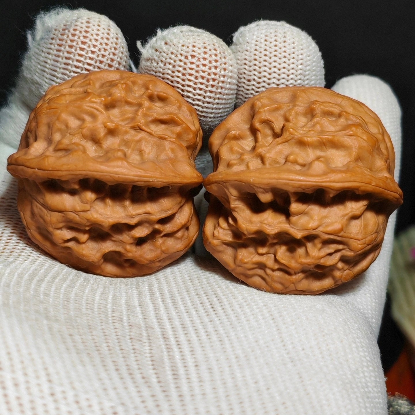 Wild Wolf Wenwan Walnut · 41mm · Sourcing Pick