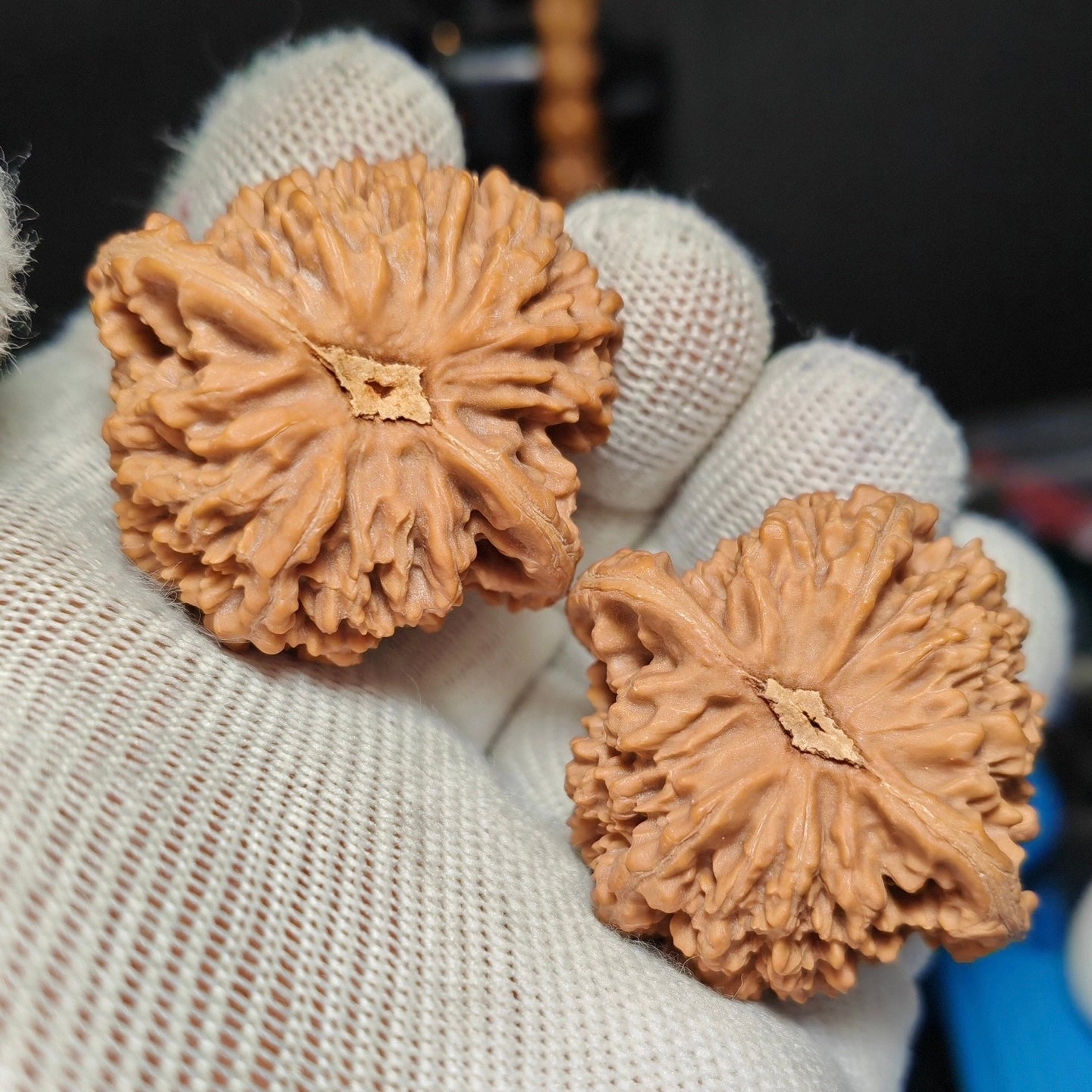 Starry Sky Wenwan Walnut · 39mm · Sourcing Pick