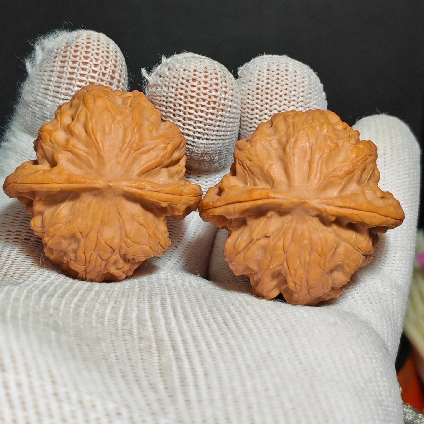 Wild Wolf Wenwan Walnut · 41mm · Sourcing Pick