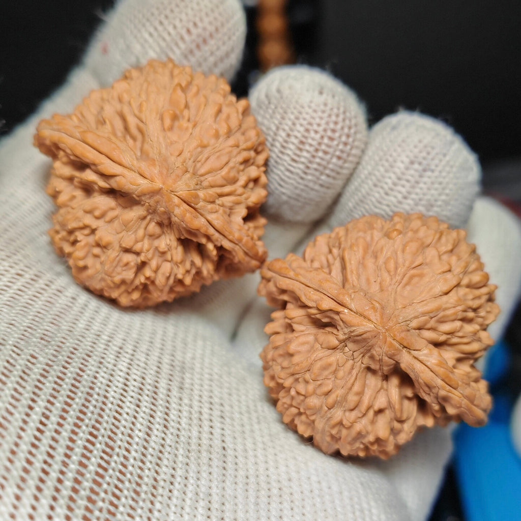 Starry Sky Wenwan Walnut · 39mm · Sourcing Pick