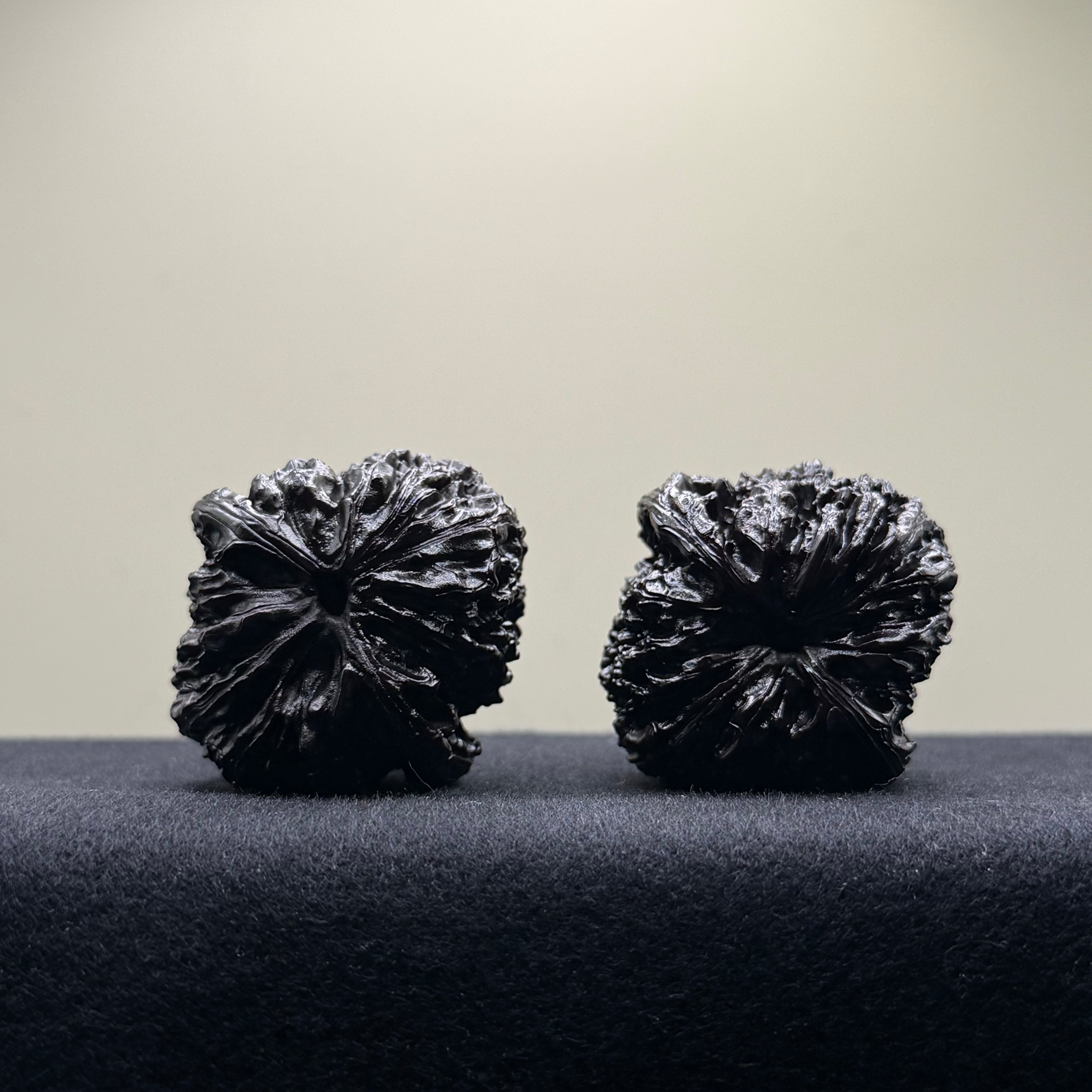 Ground Buried Nanjiang Stone Wenwan Walnut · 38mm · Select Ritual