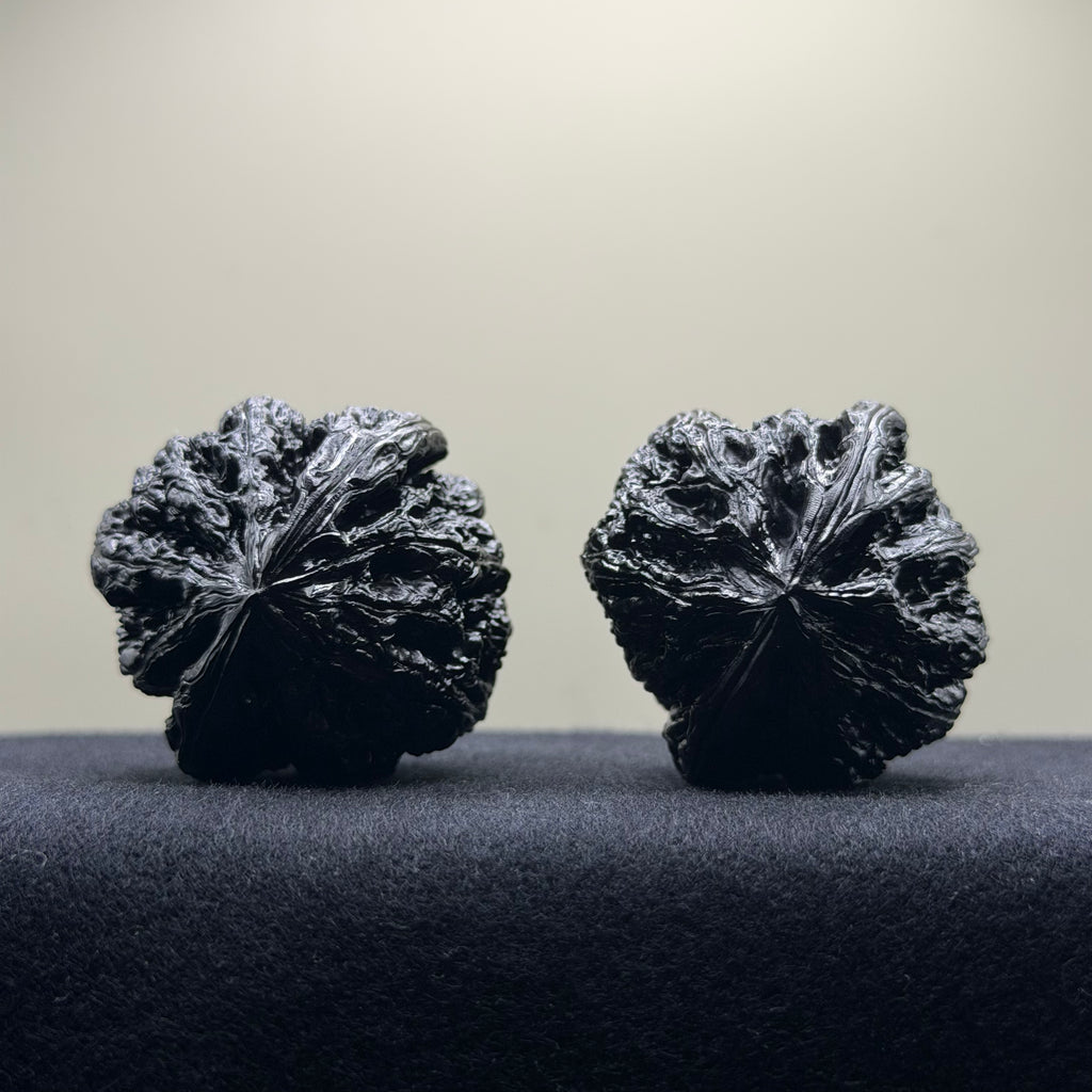 Ground Buried Thick Ribs Wenwan Walnut · 41mm · Select Ritual