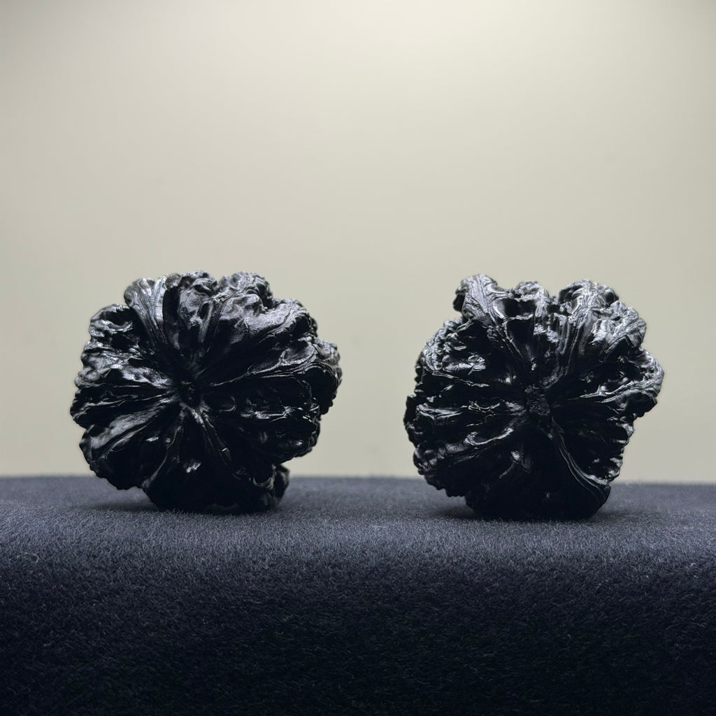 Ground Buried Thick Ribs Wenwan Walnut · 41mm · Select Ritual