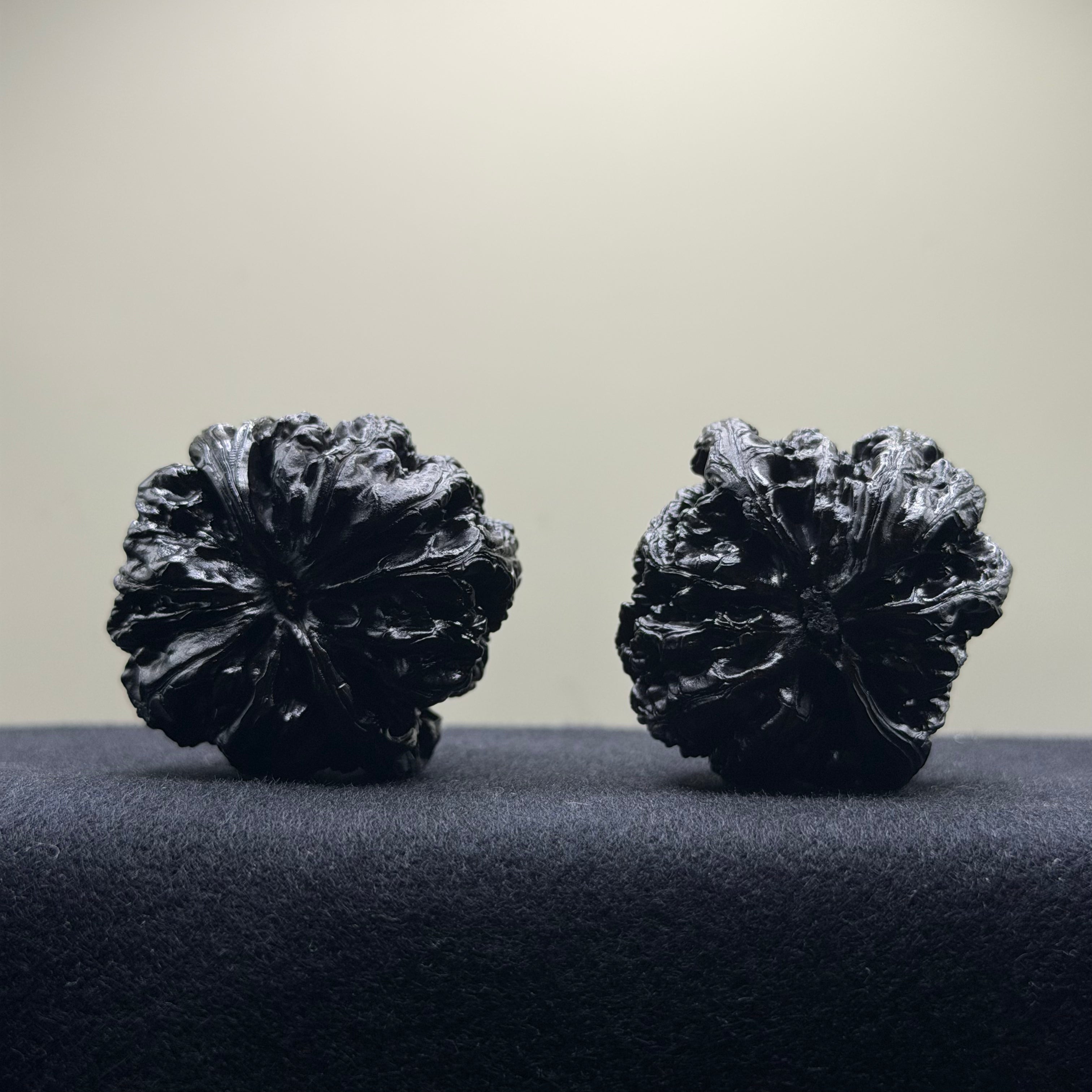 Ground Buried Thick Ribs Wenwan Walnut · 41mm · Select Ritual