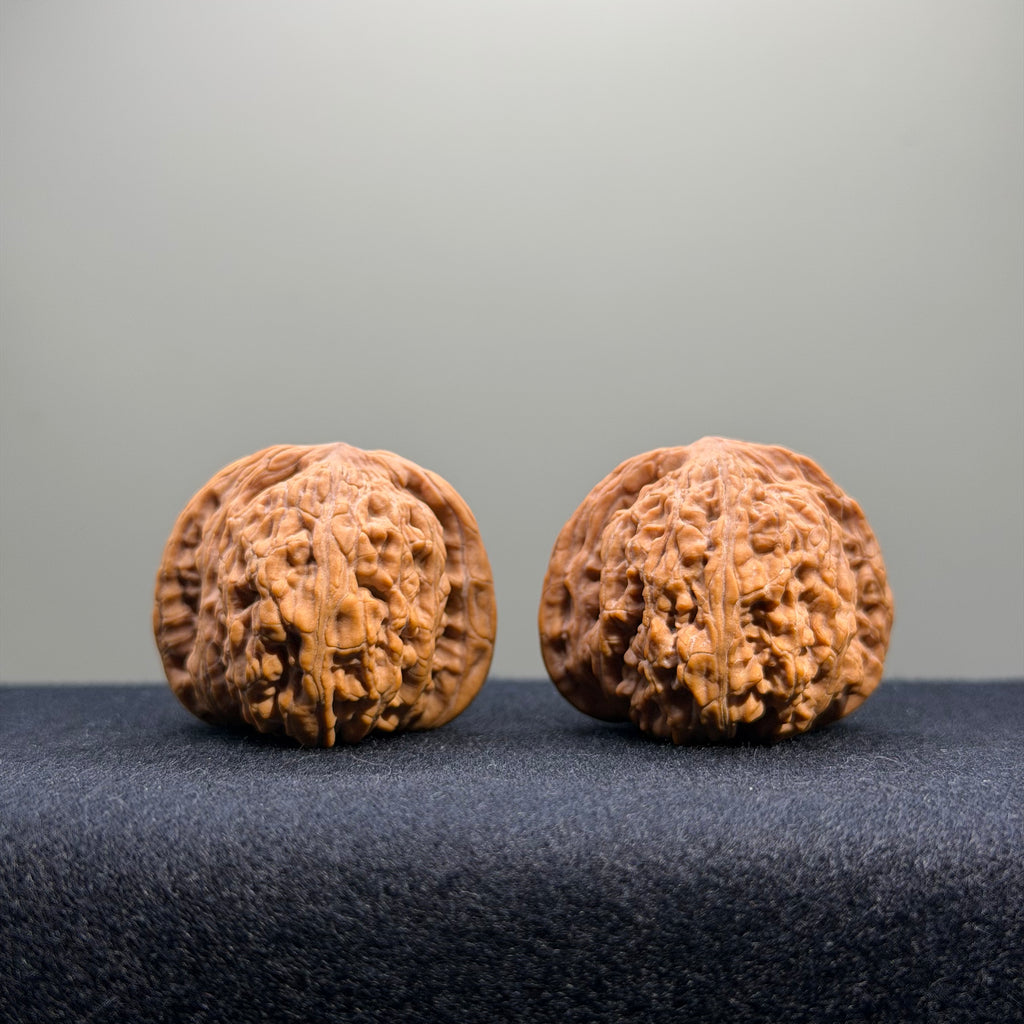 Dense Grain Wenwan Walnut · 36mm · Natural · Entry Ritual