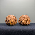 Dense Grain Wenwan Walnut · 36mm · Natural · Entry Ritual