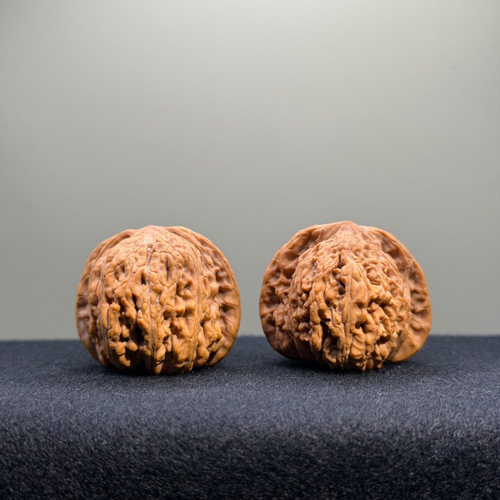 Dense Grain Wenwan Walnut · 36mm · Natural · Entry Ritual