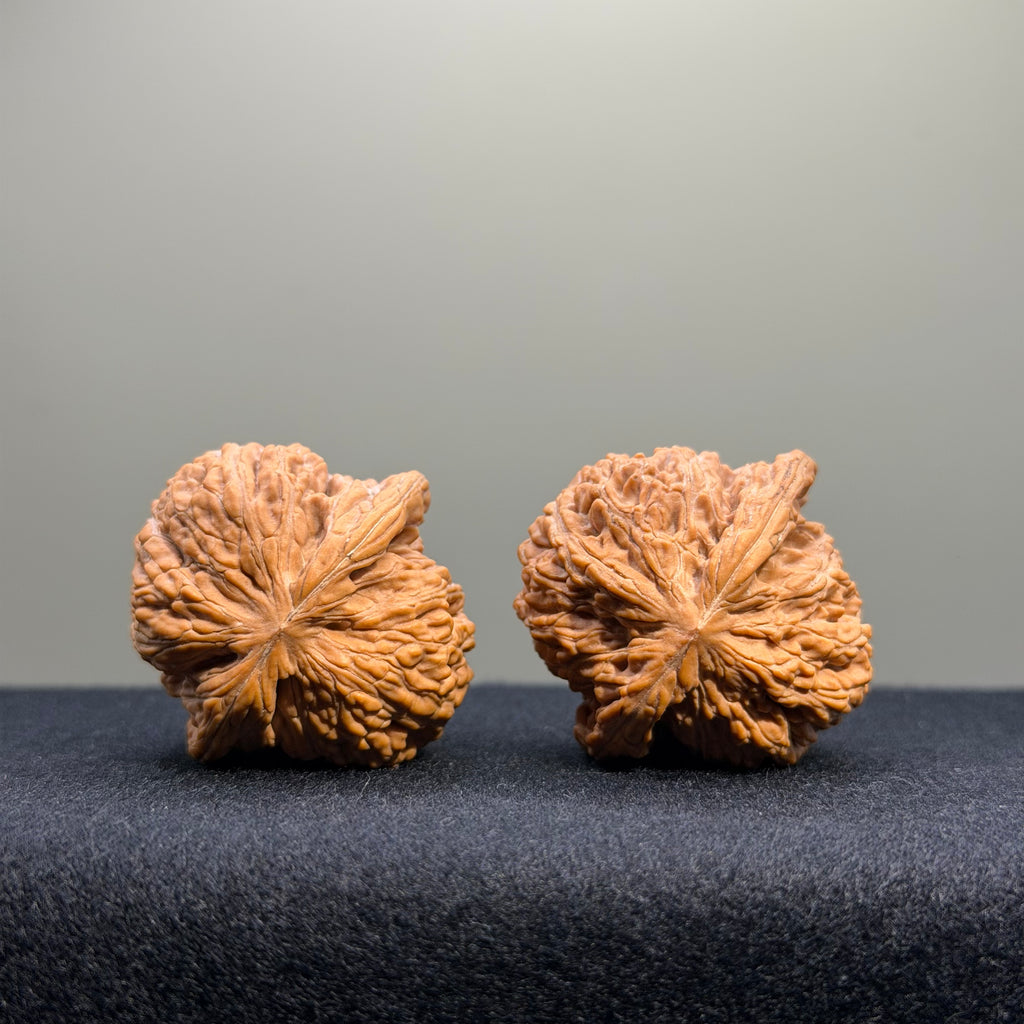 Dense Grain Wenwan Walnut · 36mm · Natural · Entry Ritual