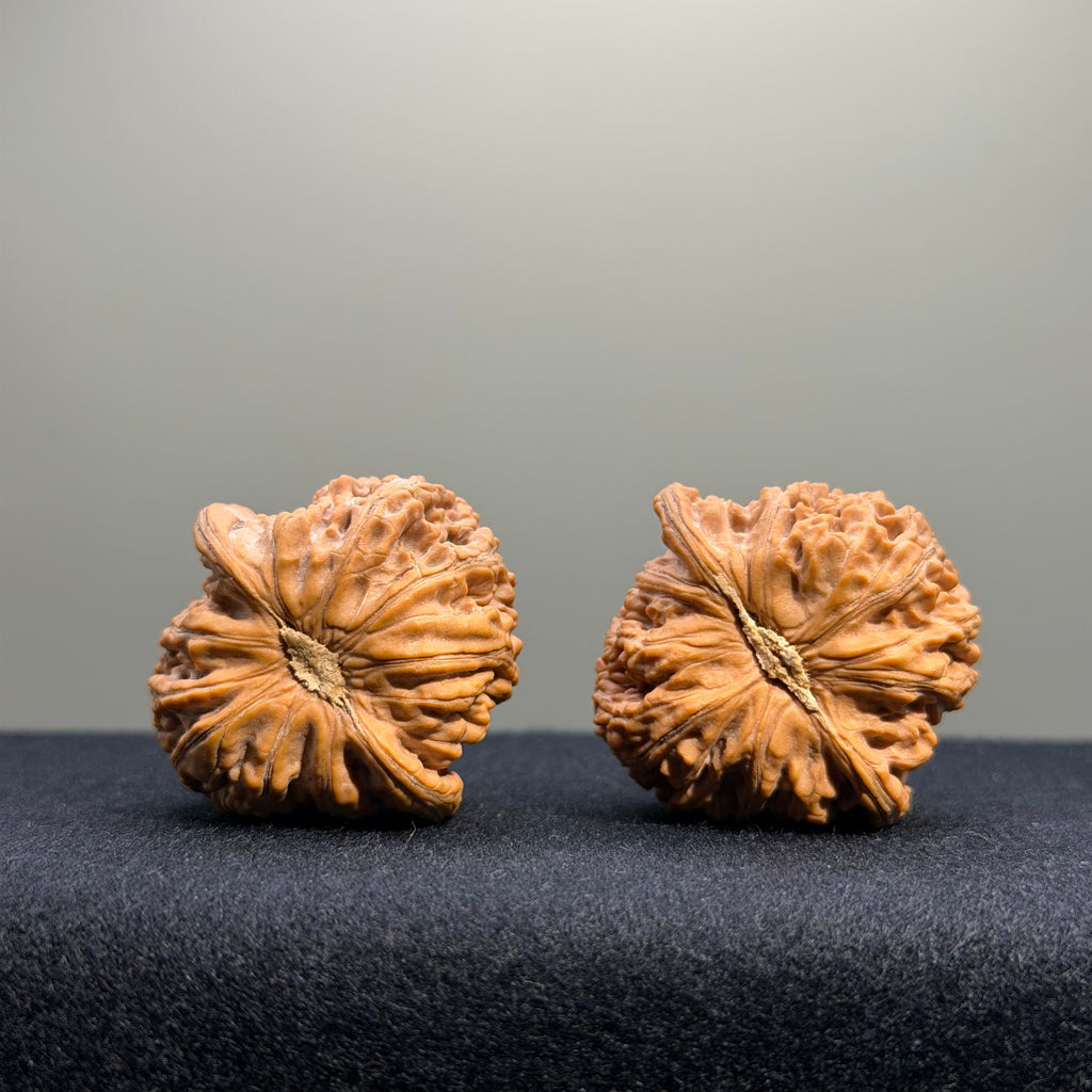 Dense Grain Wenwan Walnut · 36mm · Natural · Entry Ritual