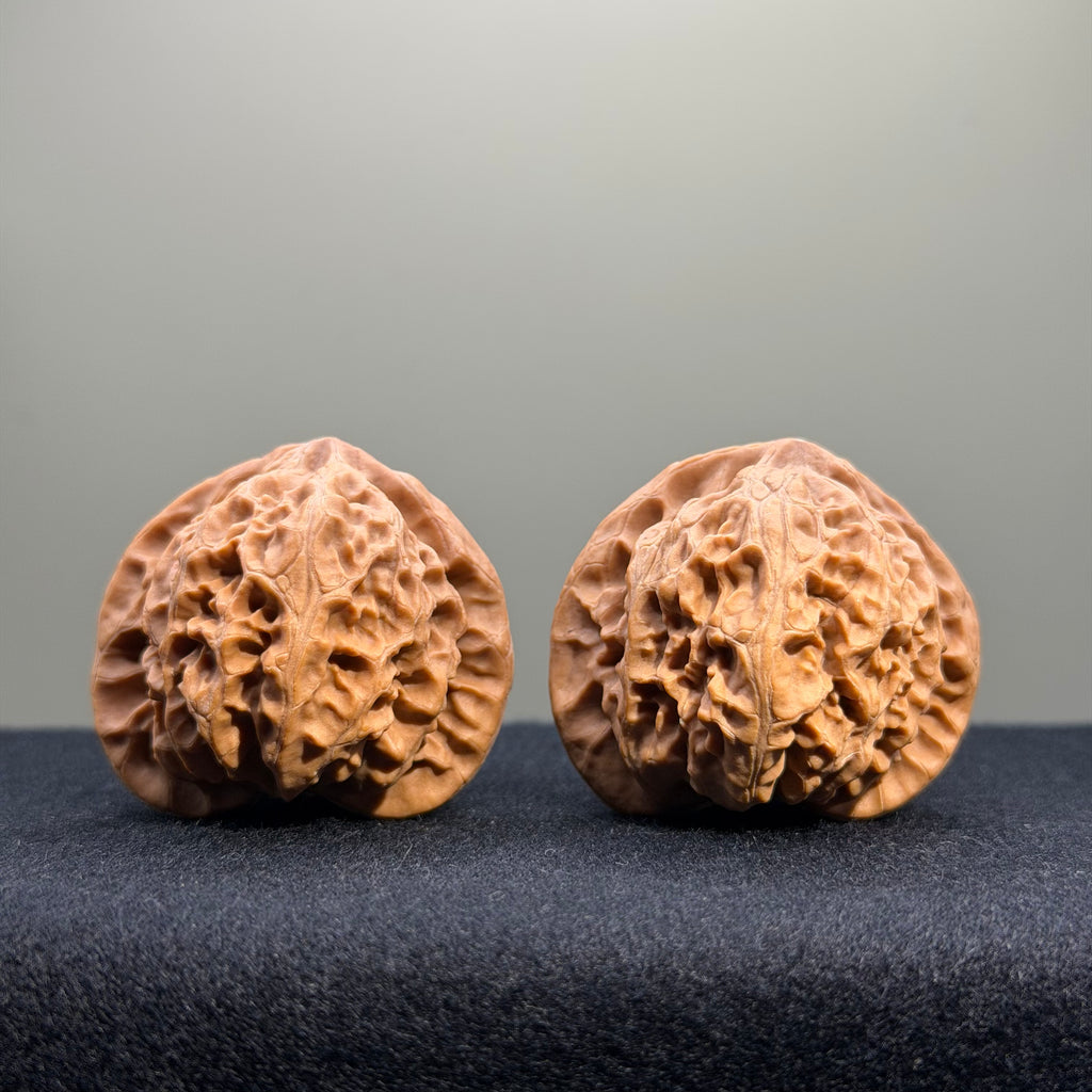 Palace Lantern Wenwan Walnut · 39mm · Natural · Entry Ritual