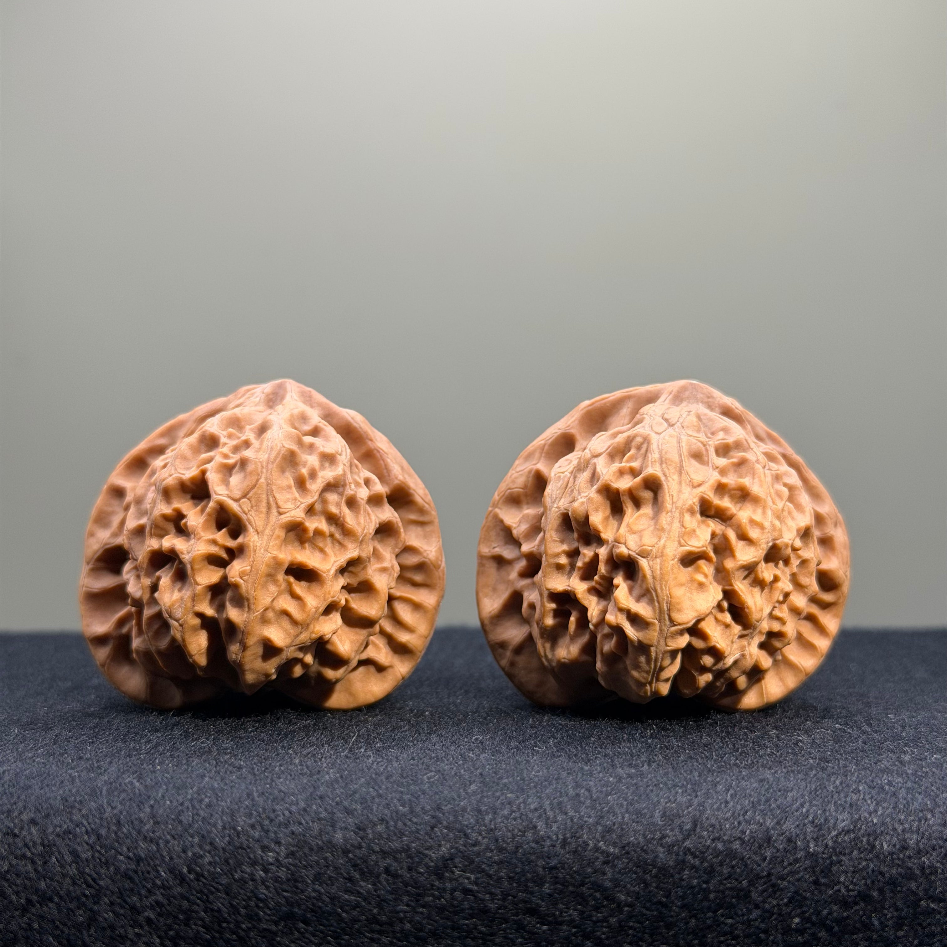 Palace Lantern Wenwan Walnut · 39mm · Natural · Entry Ritual