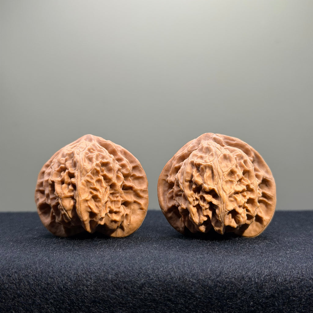 Palace Lantern Wenwan Walnut · 39mm · Natural · Entry Ritual