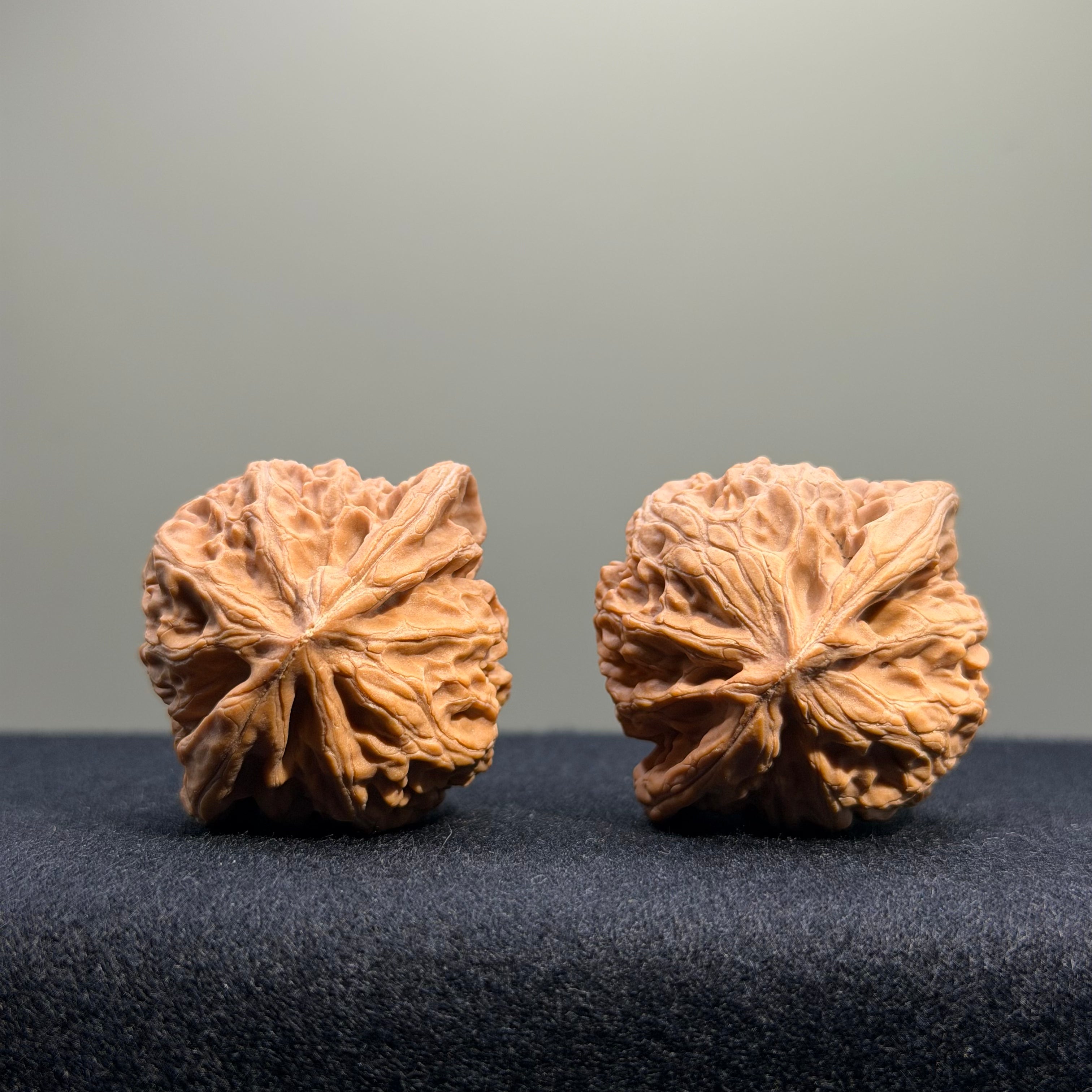 Palace Lantern Wenwan Walnut · 39mm · Natural · Entry Ritual