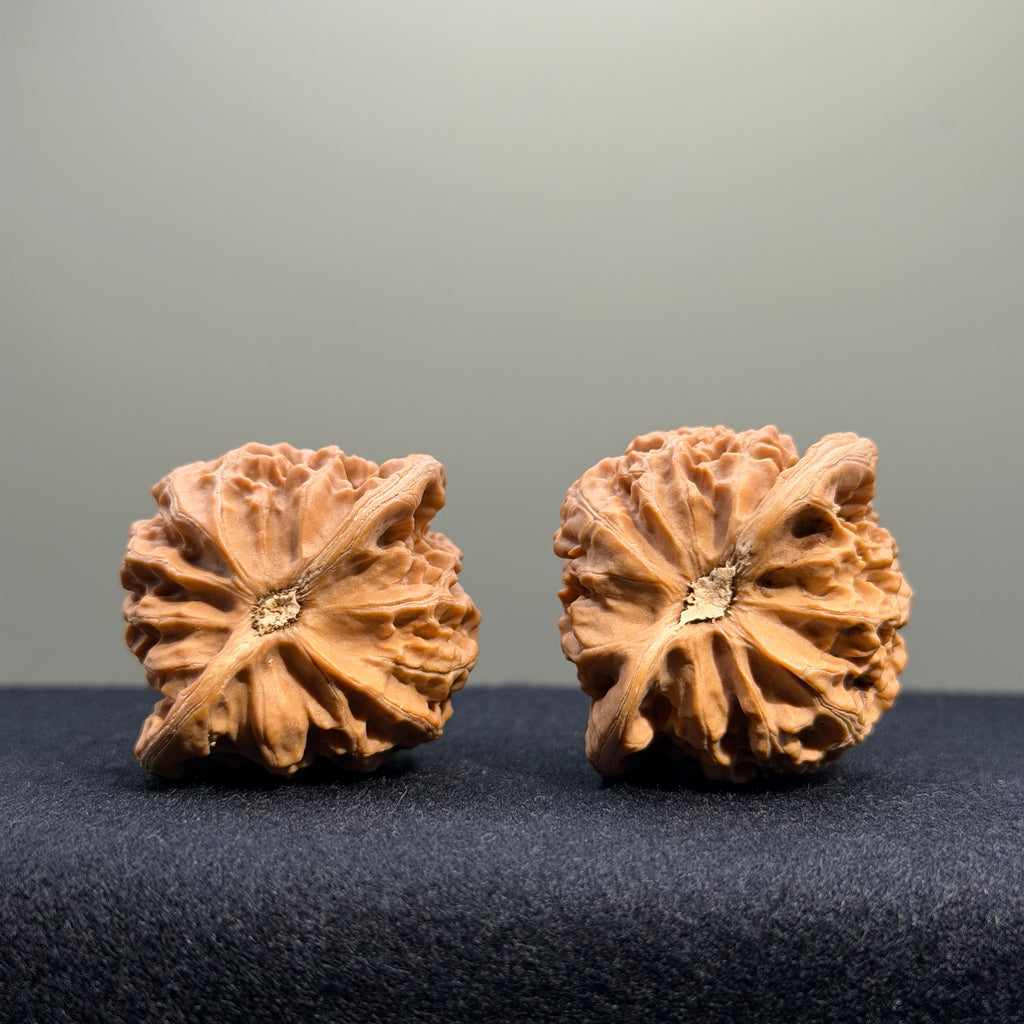 Palace Lantern Wenwan Walnut · 39mm · Natural · Entry Ritual