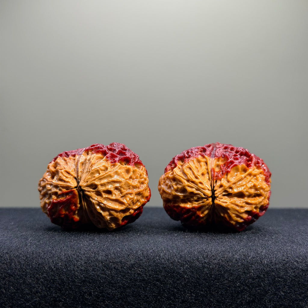 Rainbow Cliff Wenwan Walnut · 29mm · Select Ritual