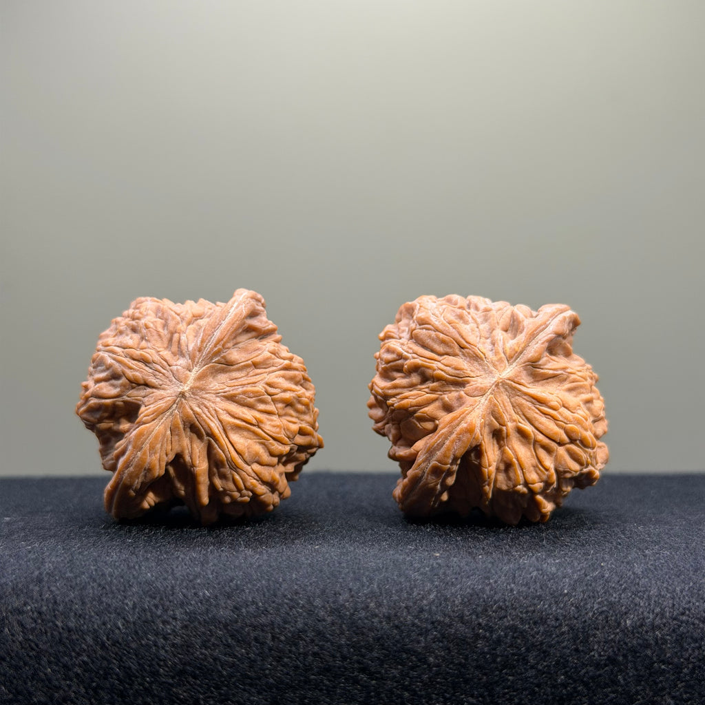 Millstone Wenwan Walnut · 38mm · Natural · Entry Ritual