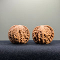 Millstone Wenwan Walnut · 37mm · Natural · Entry Ritual