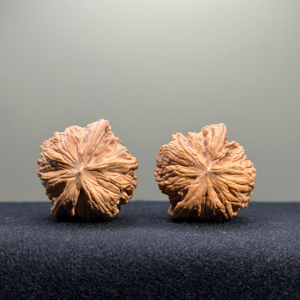 Millstone Wenwan Walnut · 37mm · Natural · Entry Ritual