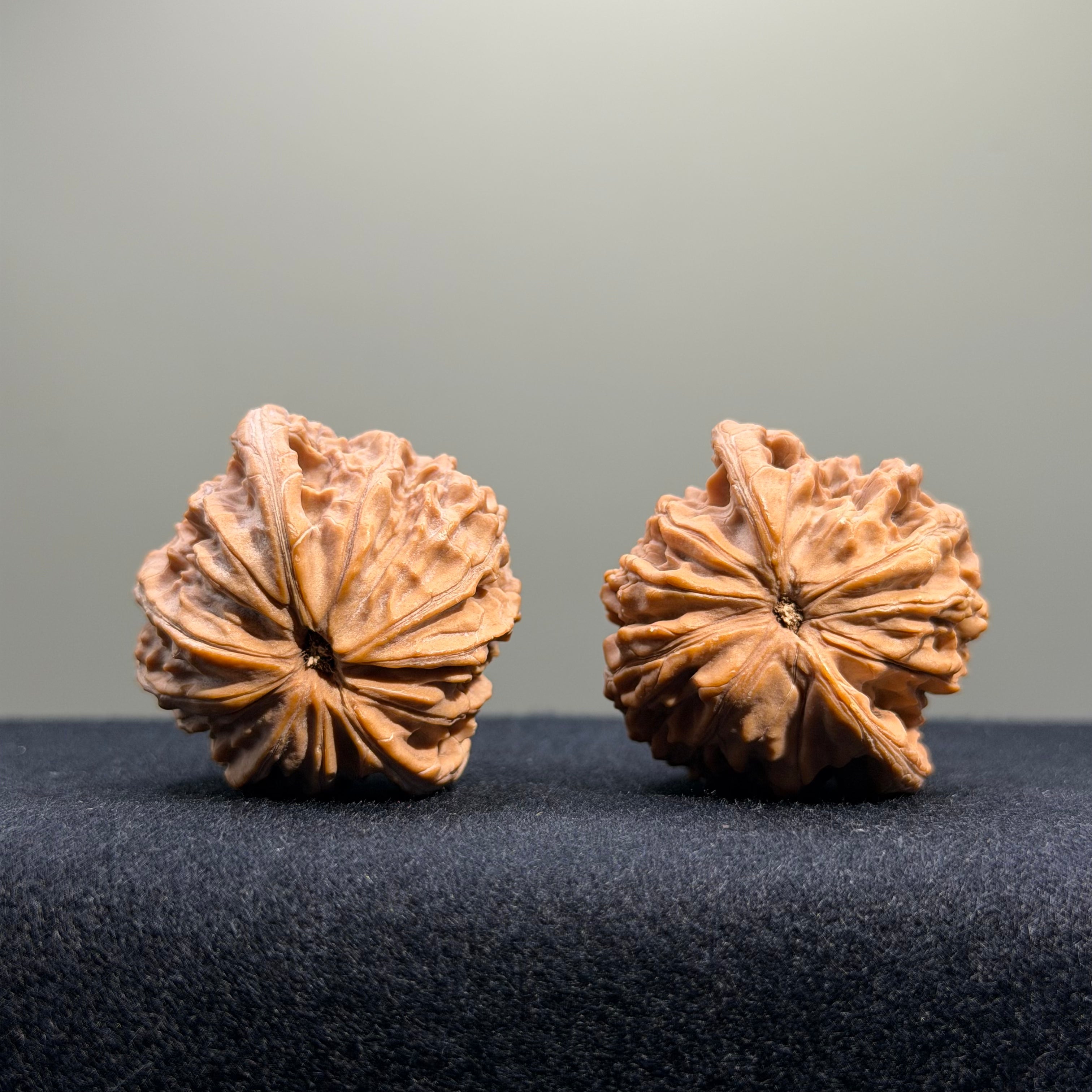 Millstone Wenwan Walnut · 37mm · Natural · Entry Ritual