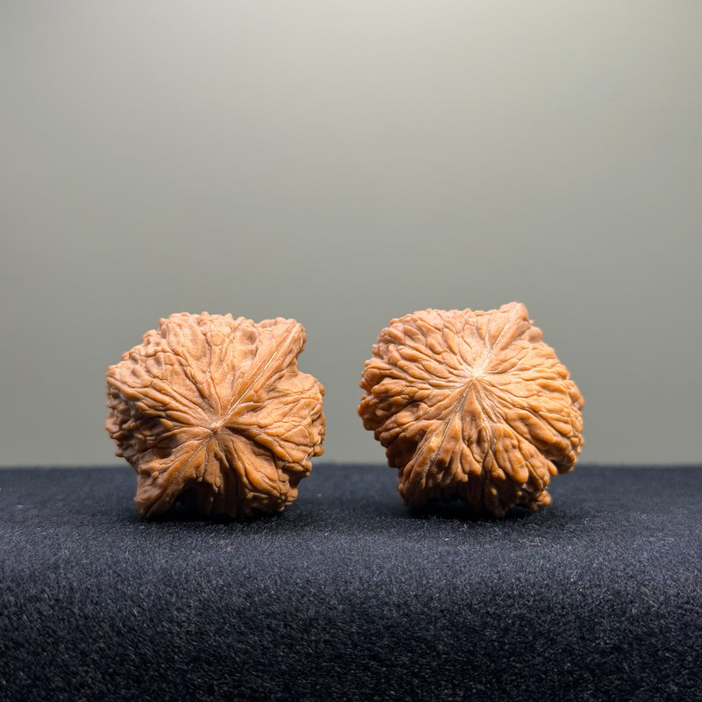 Millstone Wenwan Walnut · 34mm · Natural · Entry Ritual