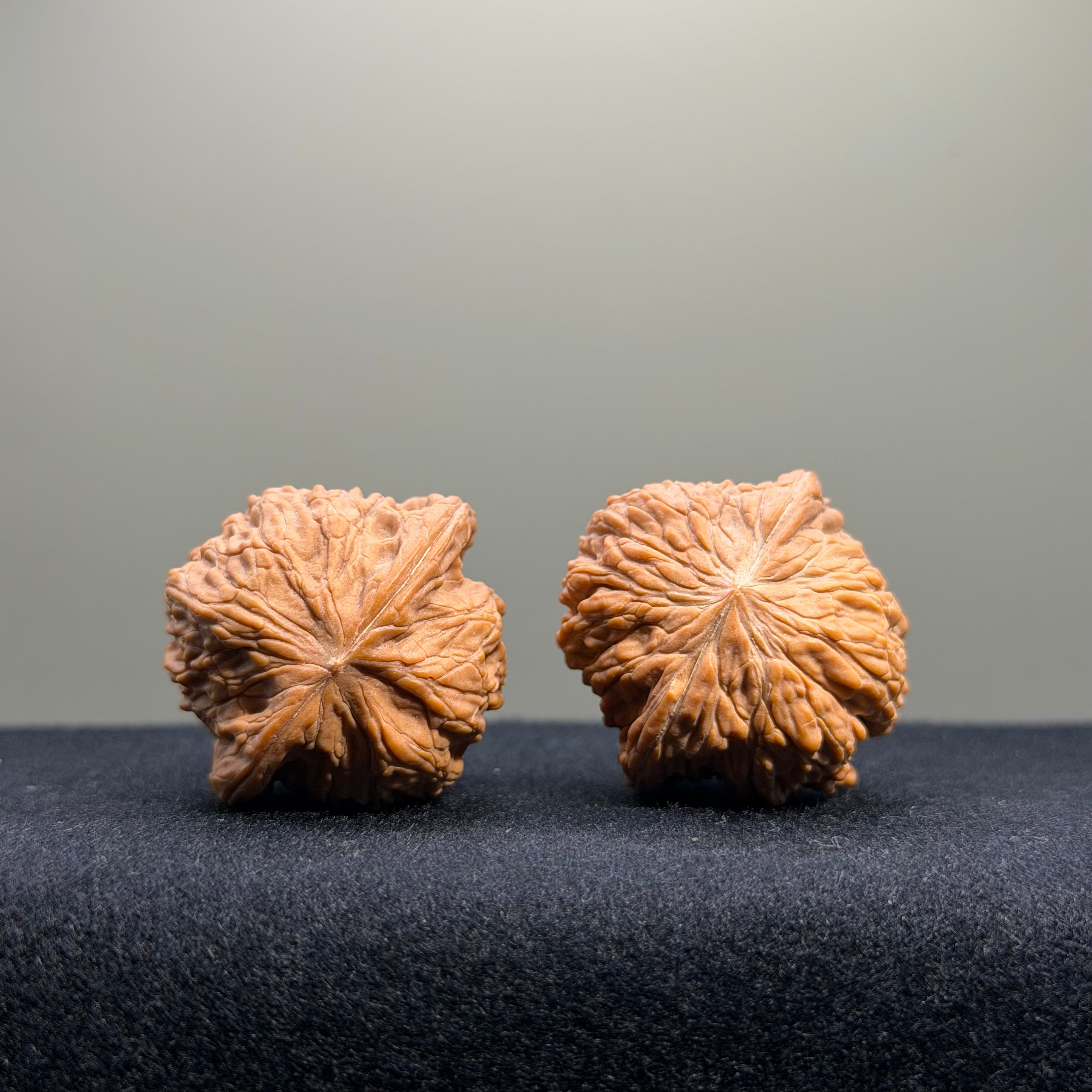 Millstone Wenwan Walnut · 34mm · Natural · Entry Ritual