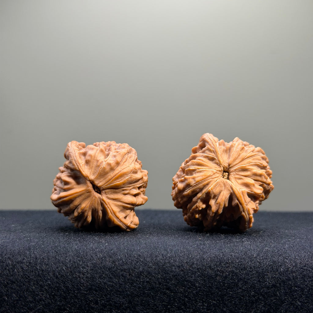 Millstone Wenwan Walnut · 34mm · Natural · Entry Ritual
