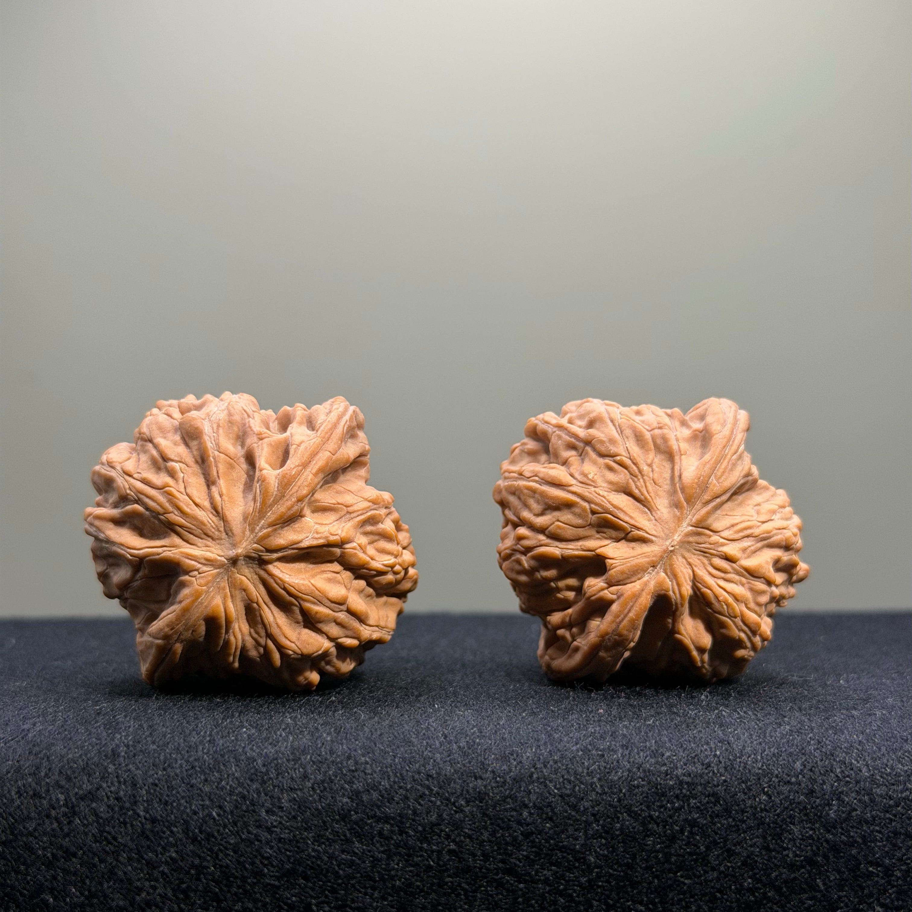Millstone Wenwan Walnut · 38mm · Natural · Entry Ritual
