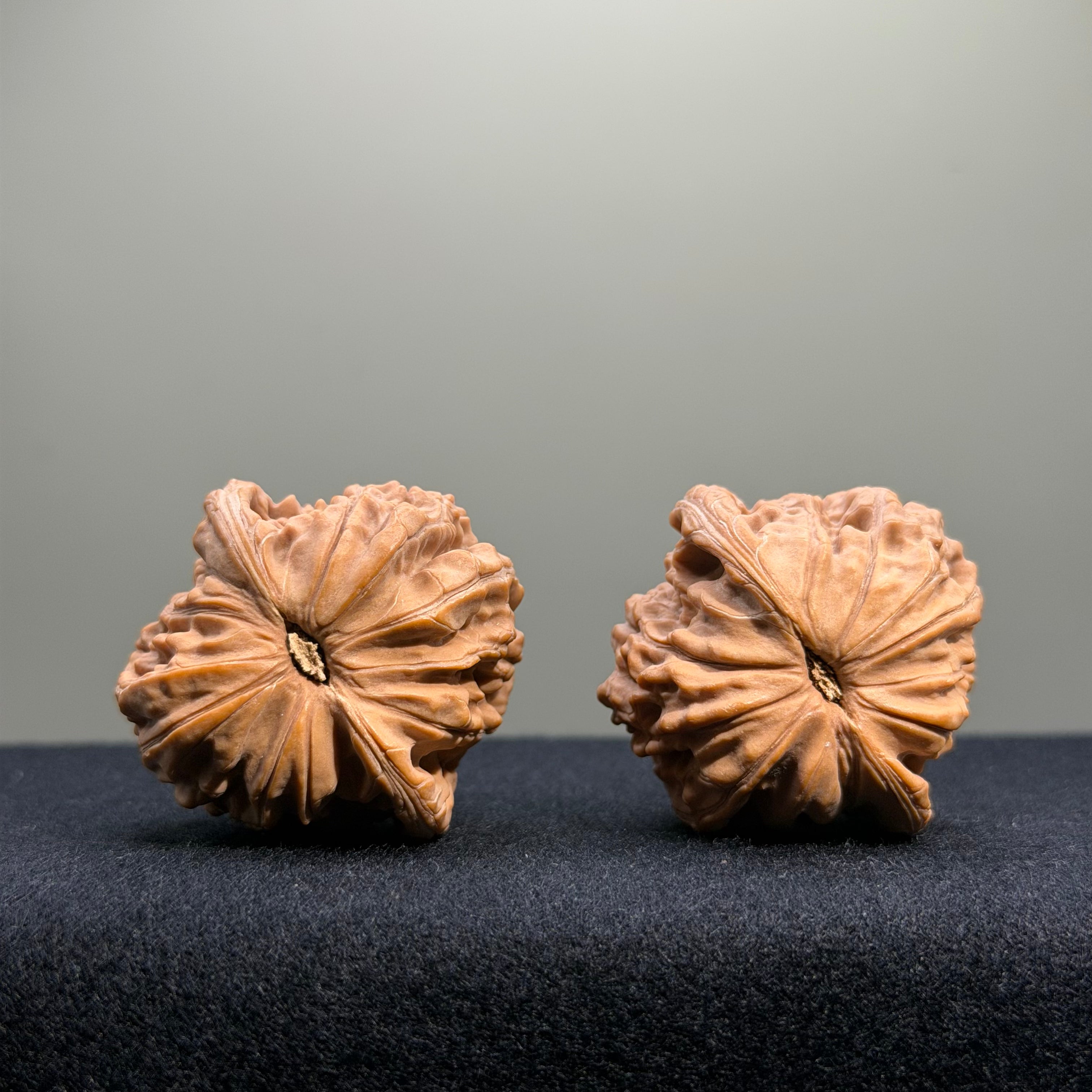 Millstone Wenwan Walnut · 38mm · Natural · Entry Ritual