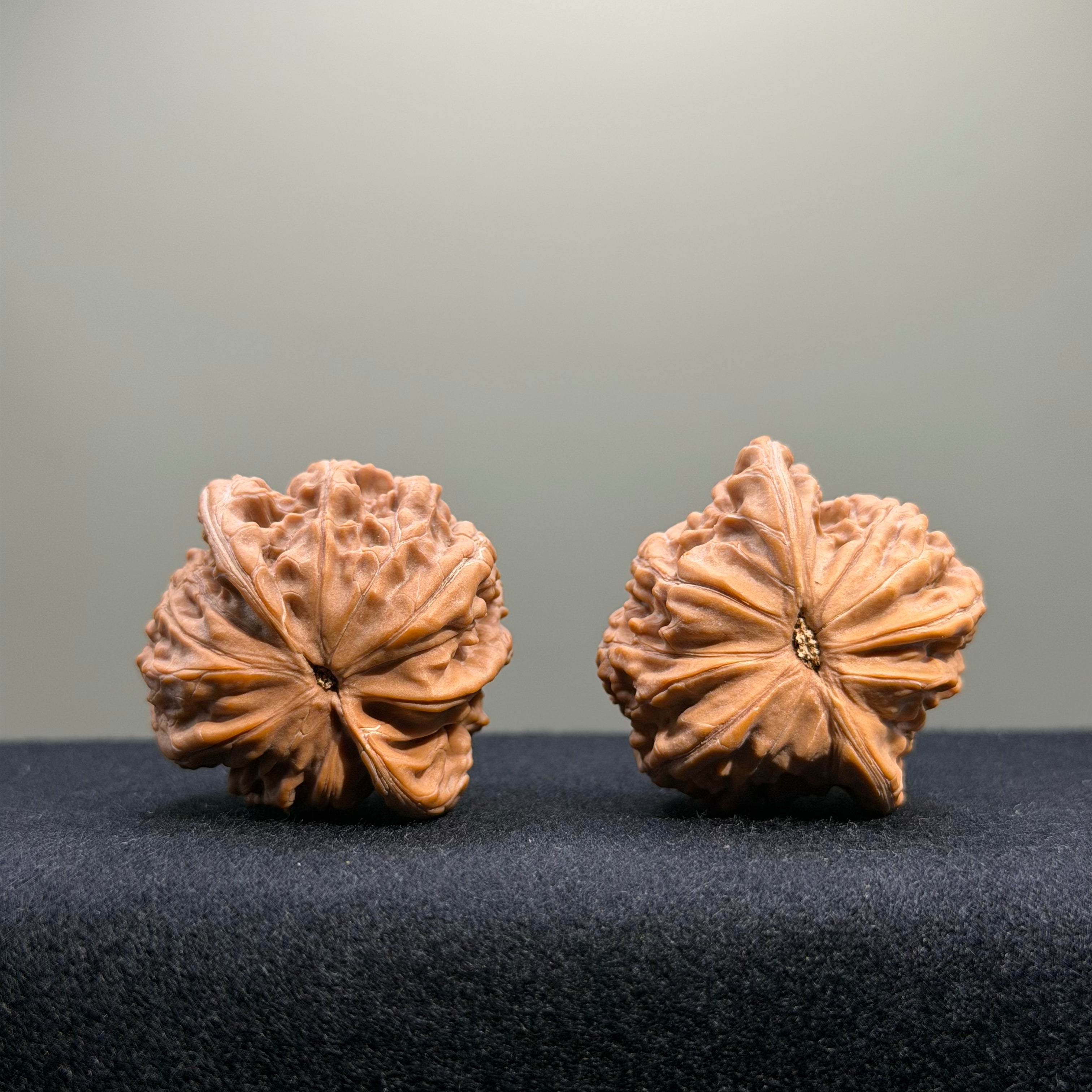 Millstone Wenwan Walnut · 38mm · Natural · Entry Ritual
