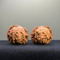 Millstone Wenwan Walnut · 37mm · Natural · Entry Ritual