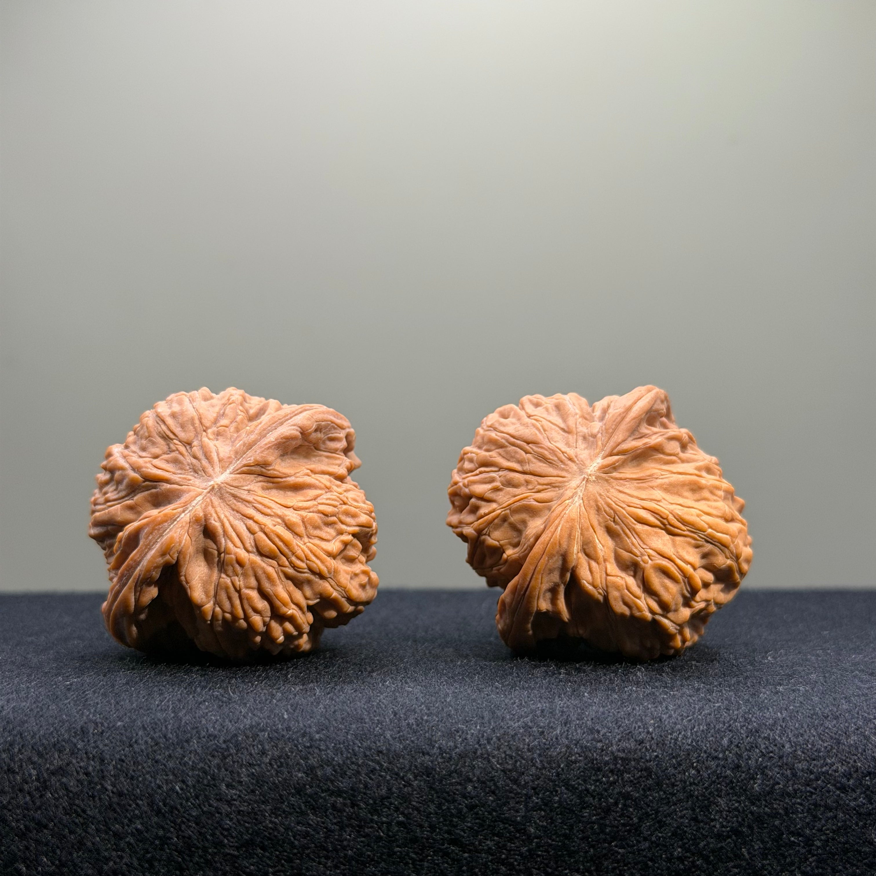 Millstone Wenwan Walnut · 37mm · Natural · Entry Ritual