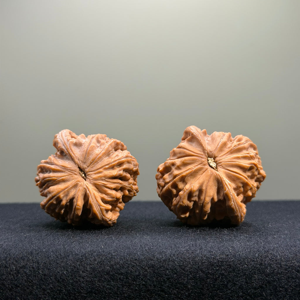 Millstone Wenwan Walnut · 37mm · Natural · Entry Ritual