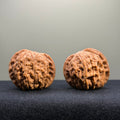 Butterfly Shaped · Millstone Wenwan Walnut · 39mm · Natural · Select Ritual