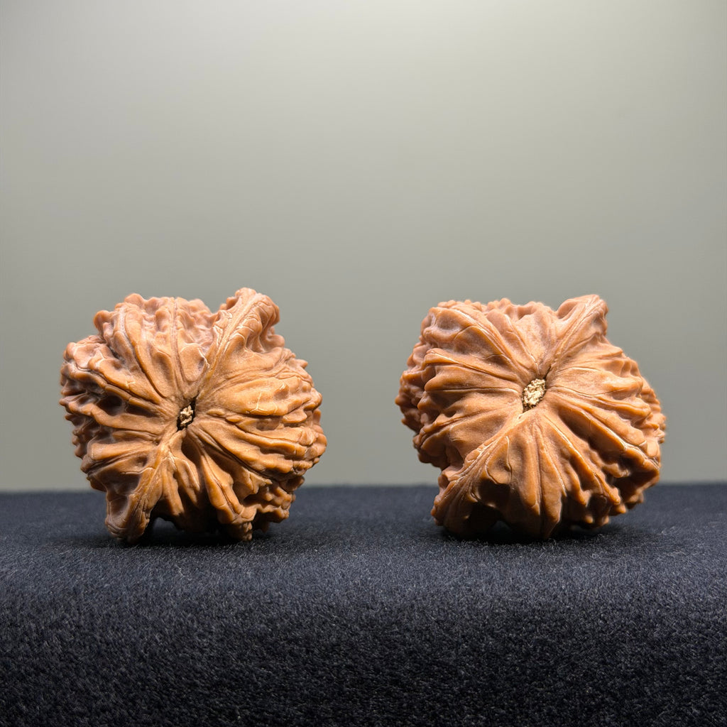 Butterfly Shaped · Millstone Wenwan Walnut · 39mm · Natural · Select Ritual