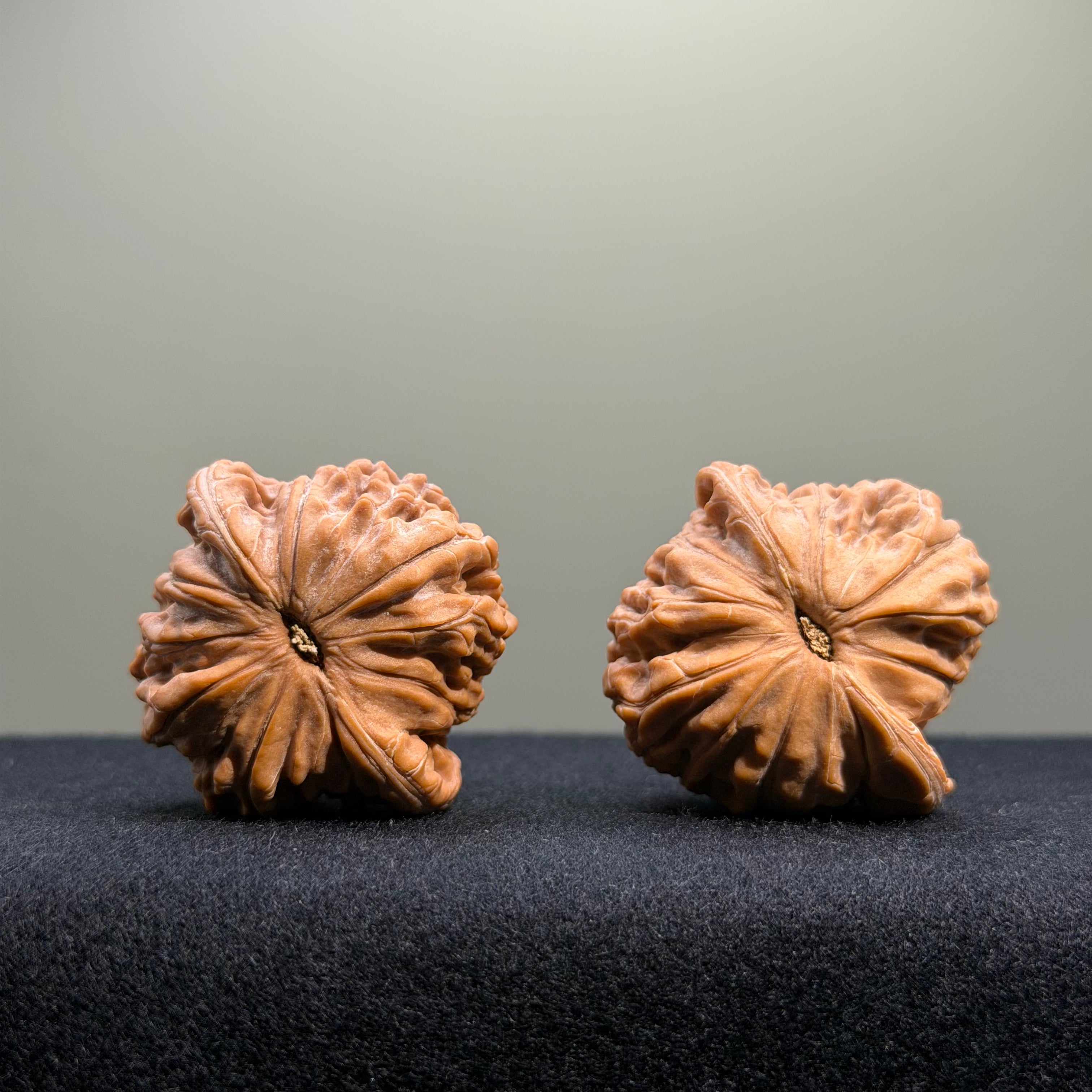 Millstone Wenwan Walnut · 39mm · Natural · Select Ritual