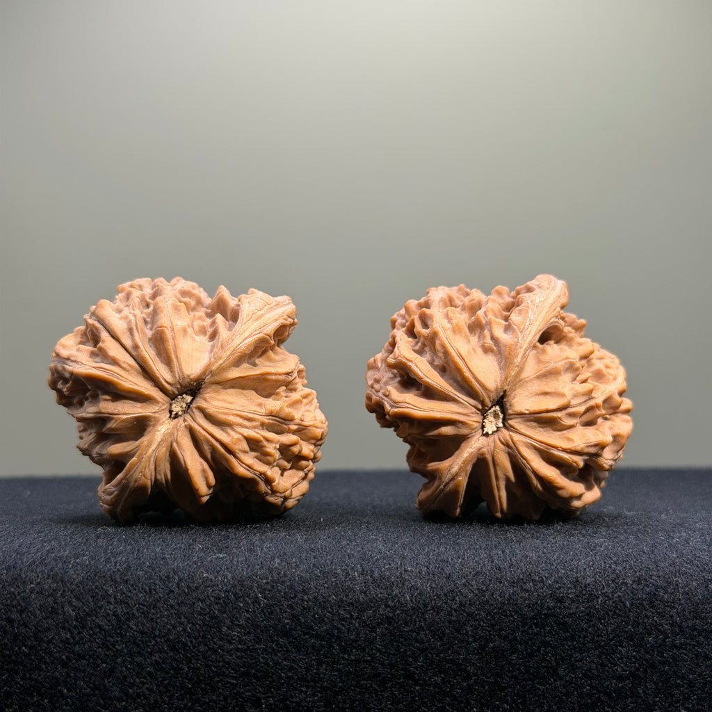 Millstone Wenwan Walnut · 41mm · Natural · Select Ritual