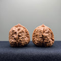 Toad Head Wenwan Walnut · 35mm · Select Ritual