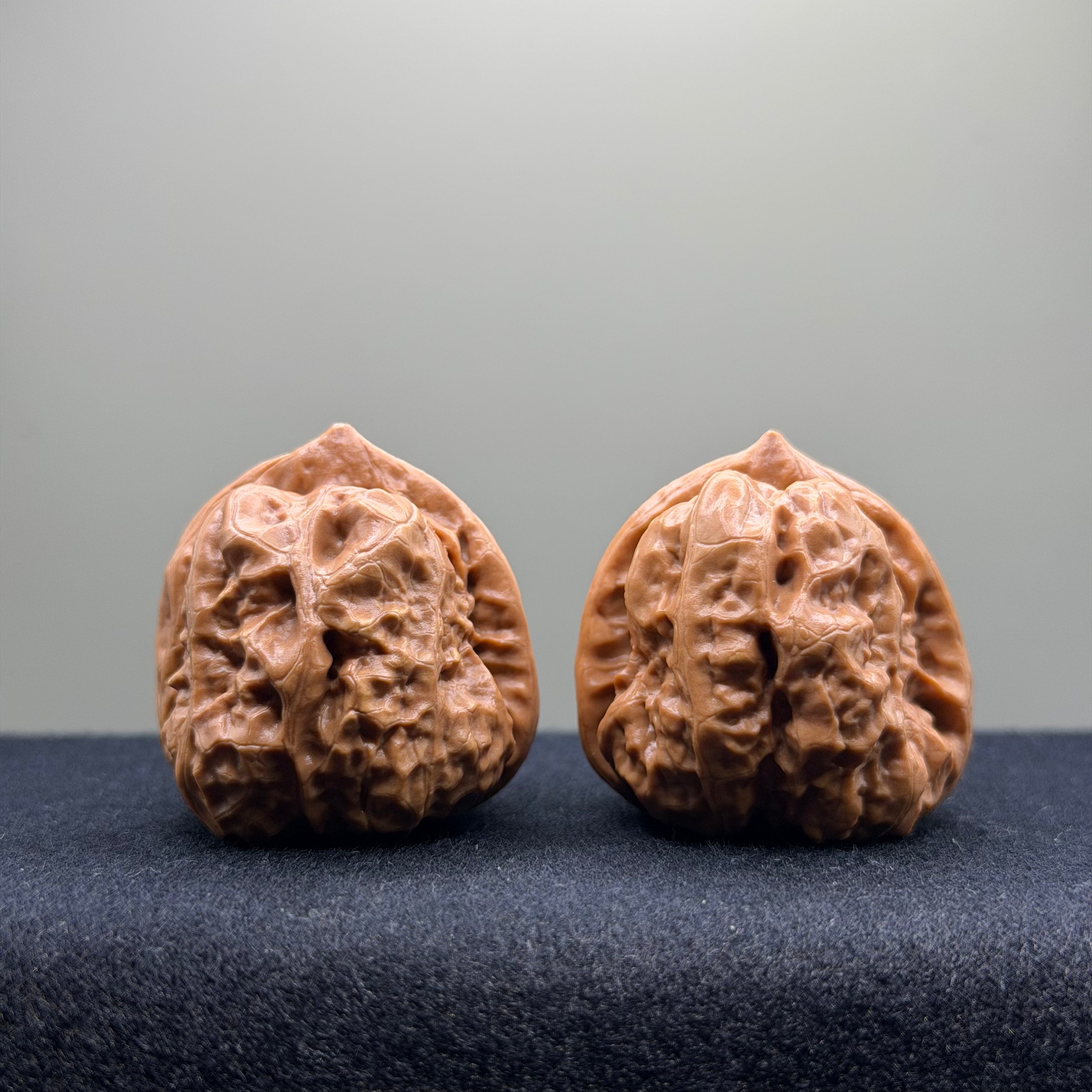 Toad Head Wenwan Walnut · 35mm · Select Ritual
