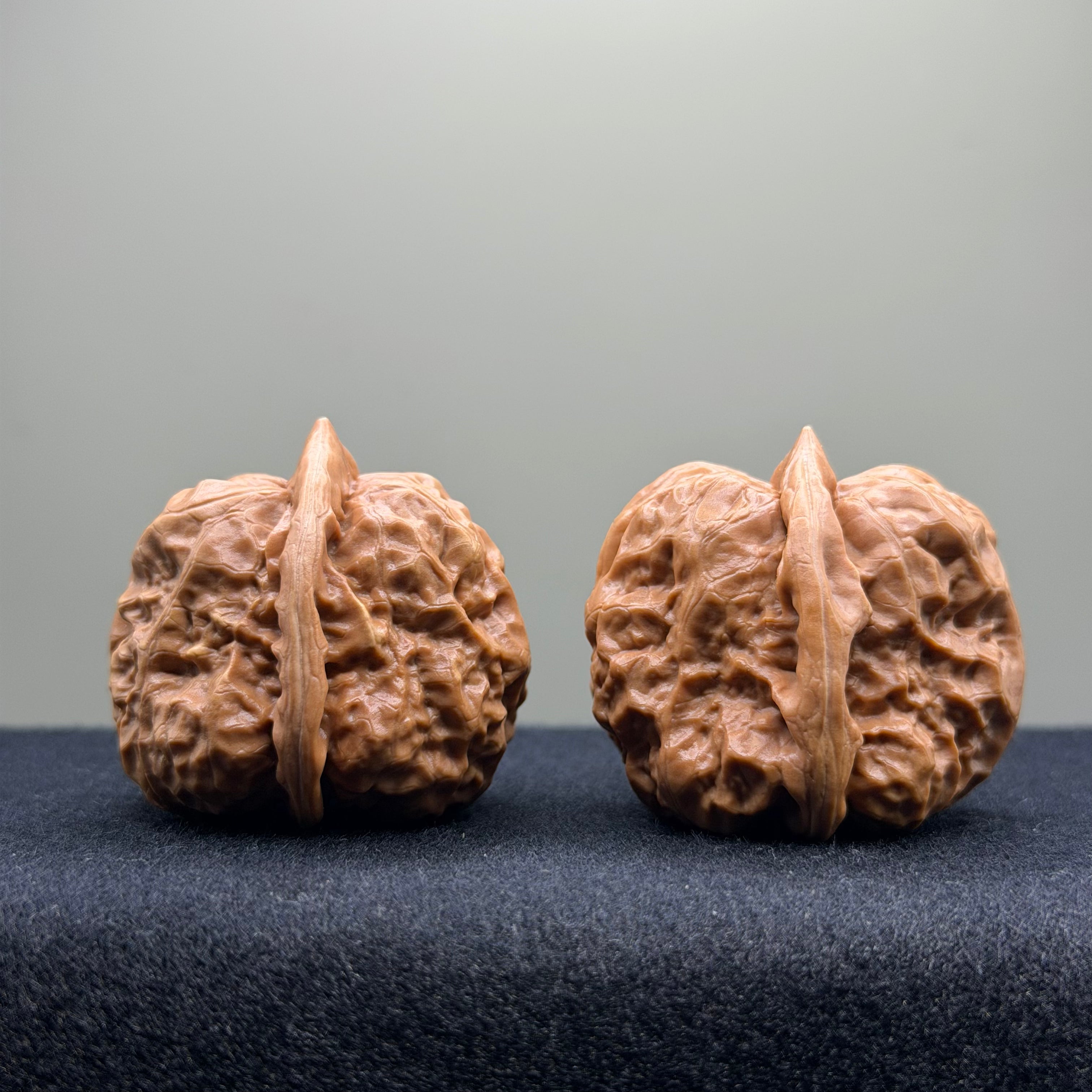 Toad Head Wenwan Walnut · 35mm · Select Ritual