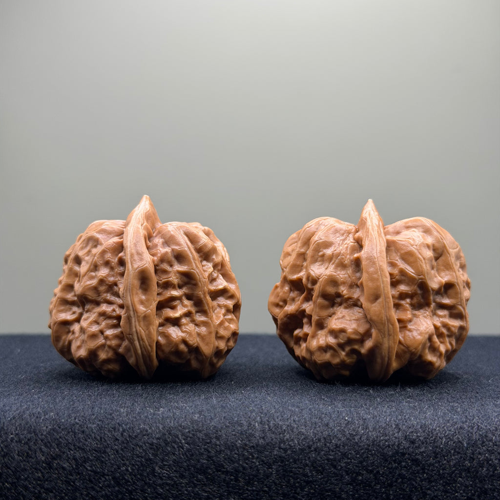 Toad Head Wenwan Walnut · 35mm · Select Ritual