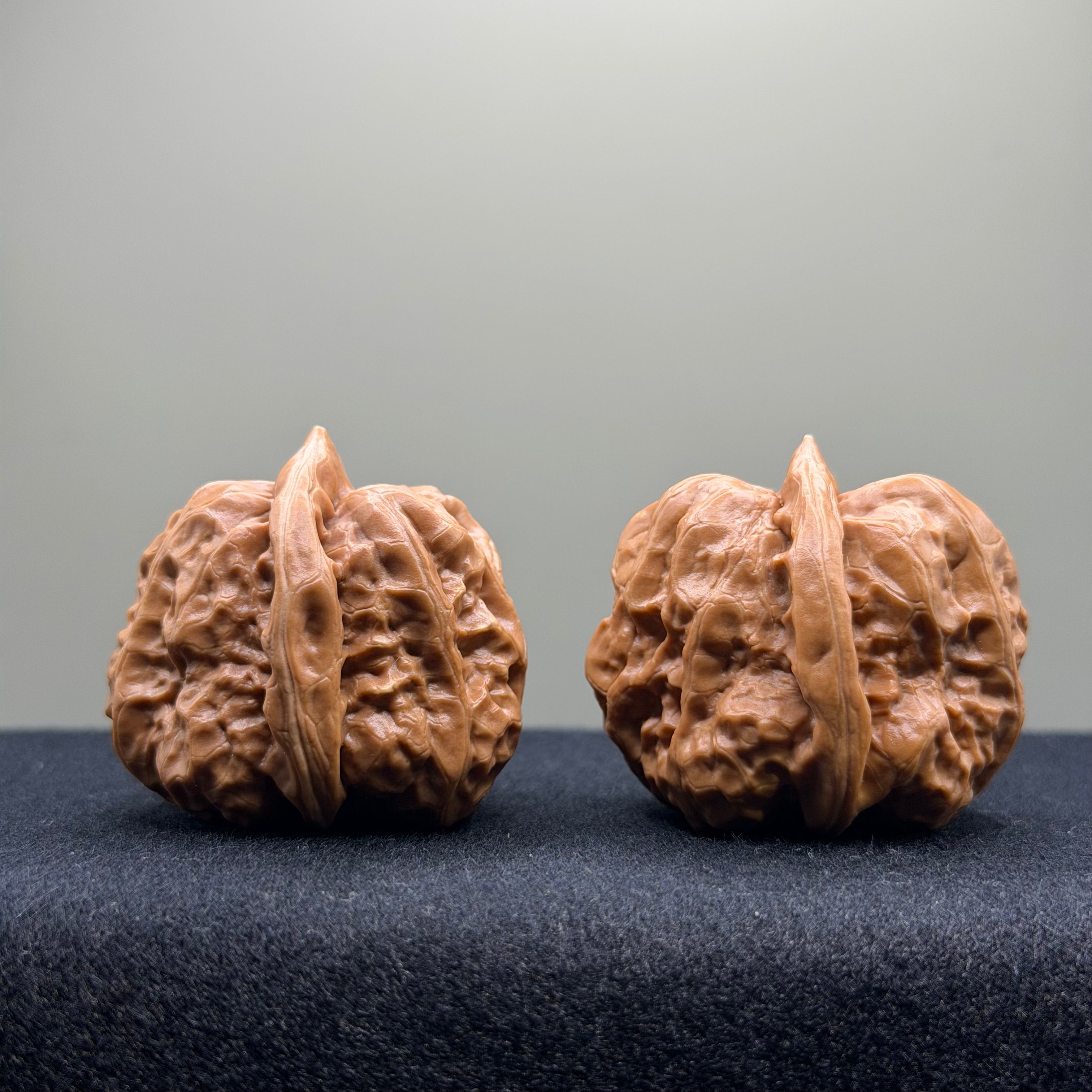 Toad Head Wenwan Walnut · 35mm · Select Ritual
