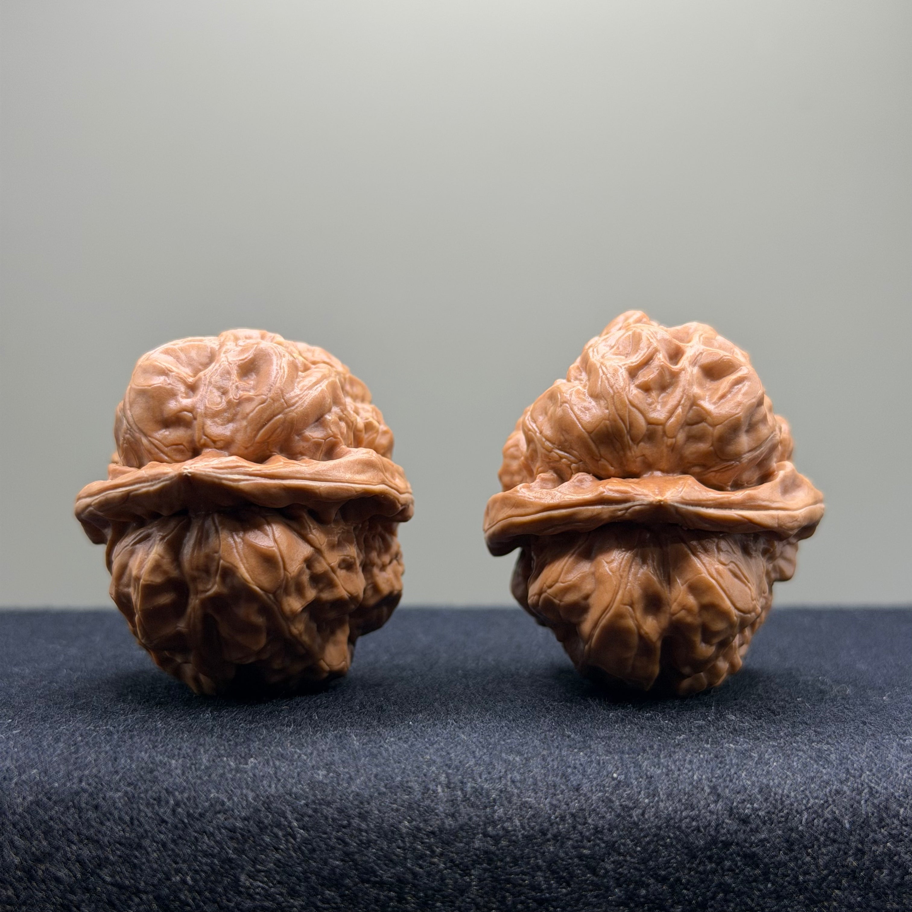 Toad Head Wenwan Walnut · 35mm · Select Ritual
