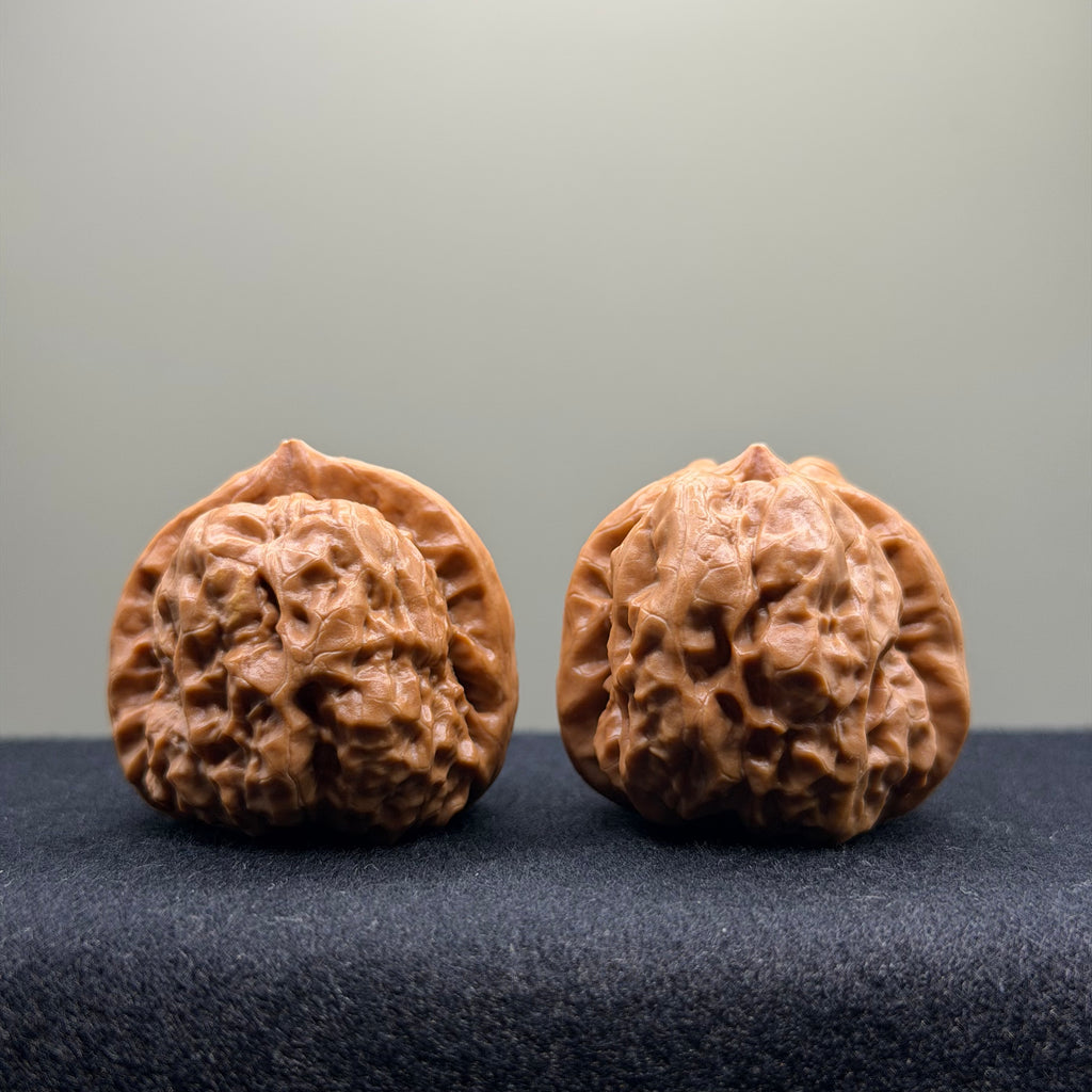 Toad Head Wenwan Walnut · 36mm · Select Ritual