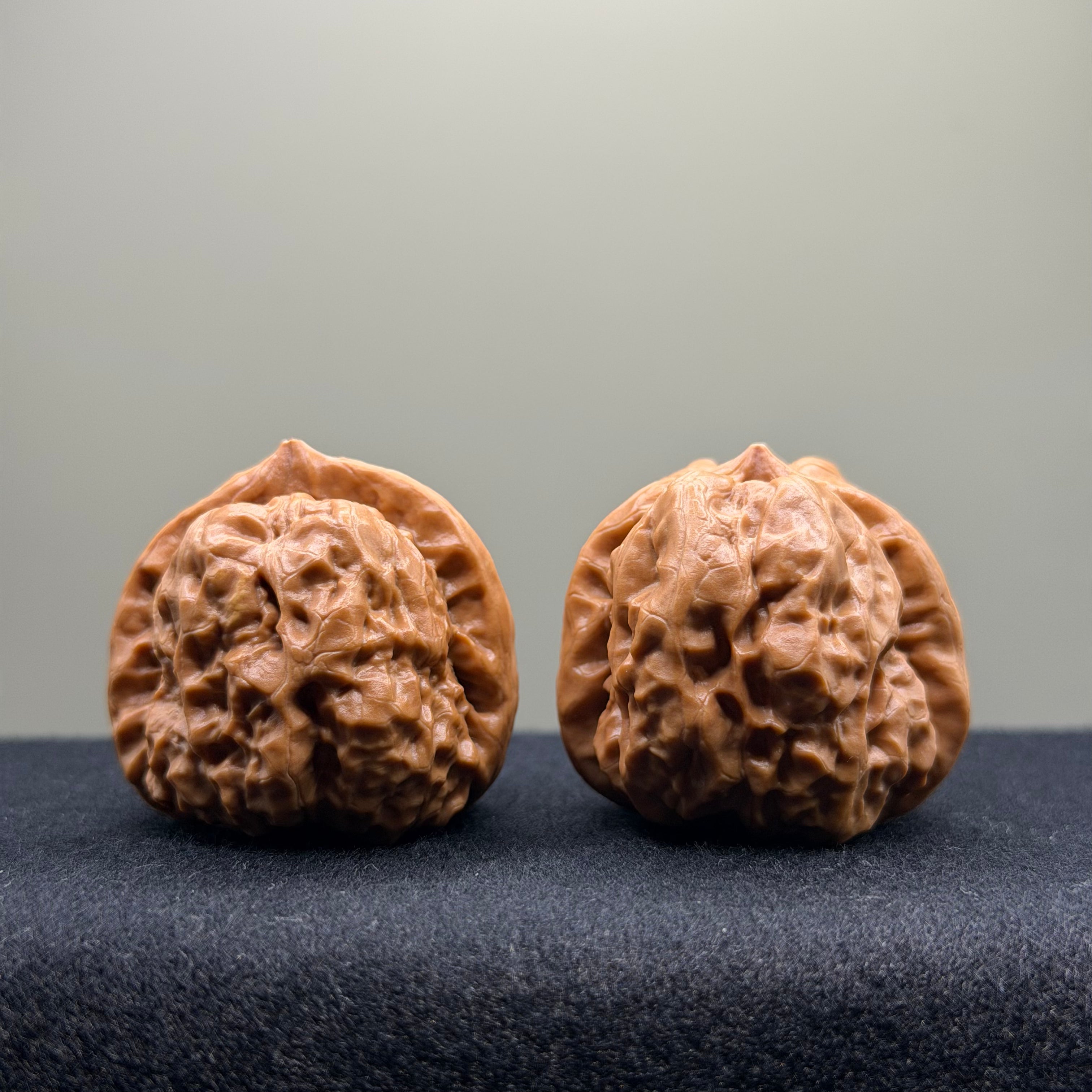 Toad Head Wenwan Walnut · 36mm · Select Ritual