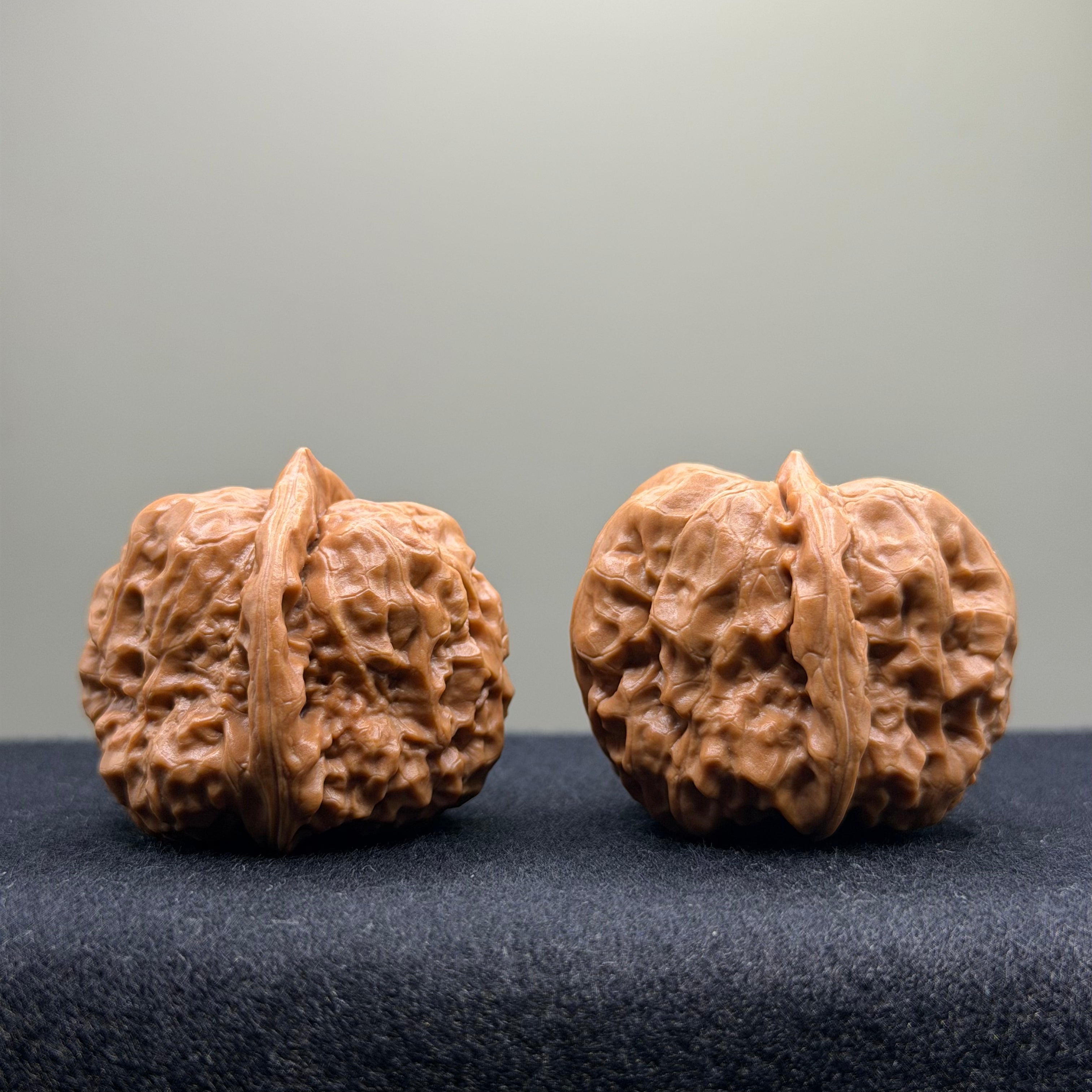 Toad Head Wenwan Walnut · 36mm · Select Ritual