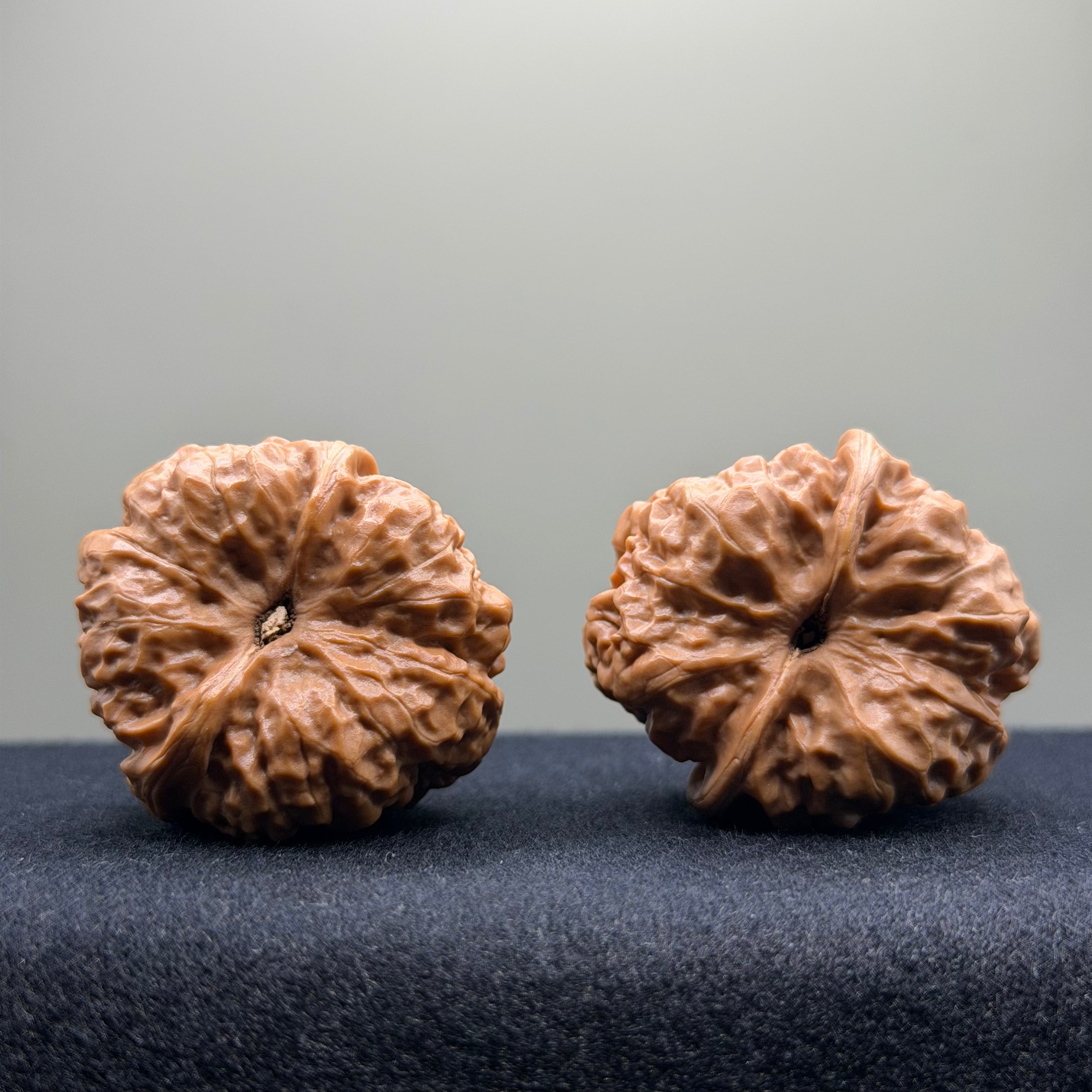 Toad Head Wenwan Walnut · 36mm · Select Ritual