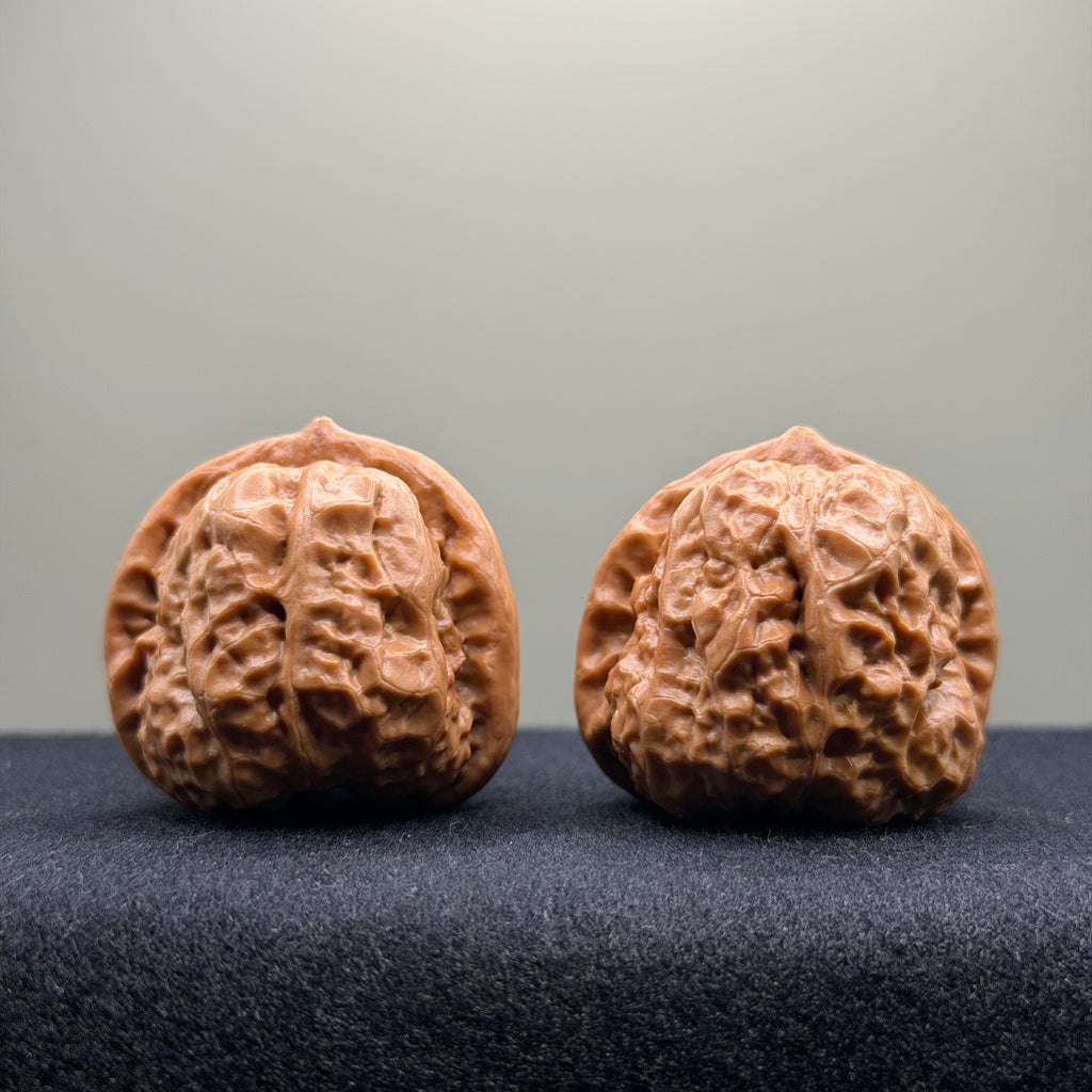 Toad Head Wenwan Walnut · 37mm · Select Ritual