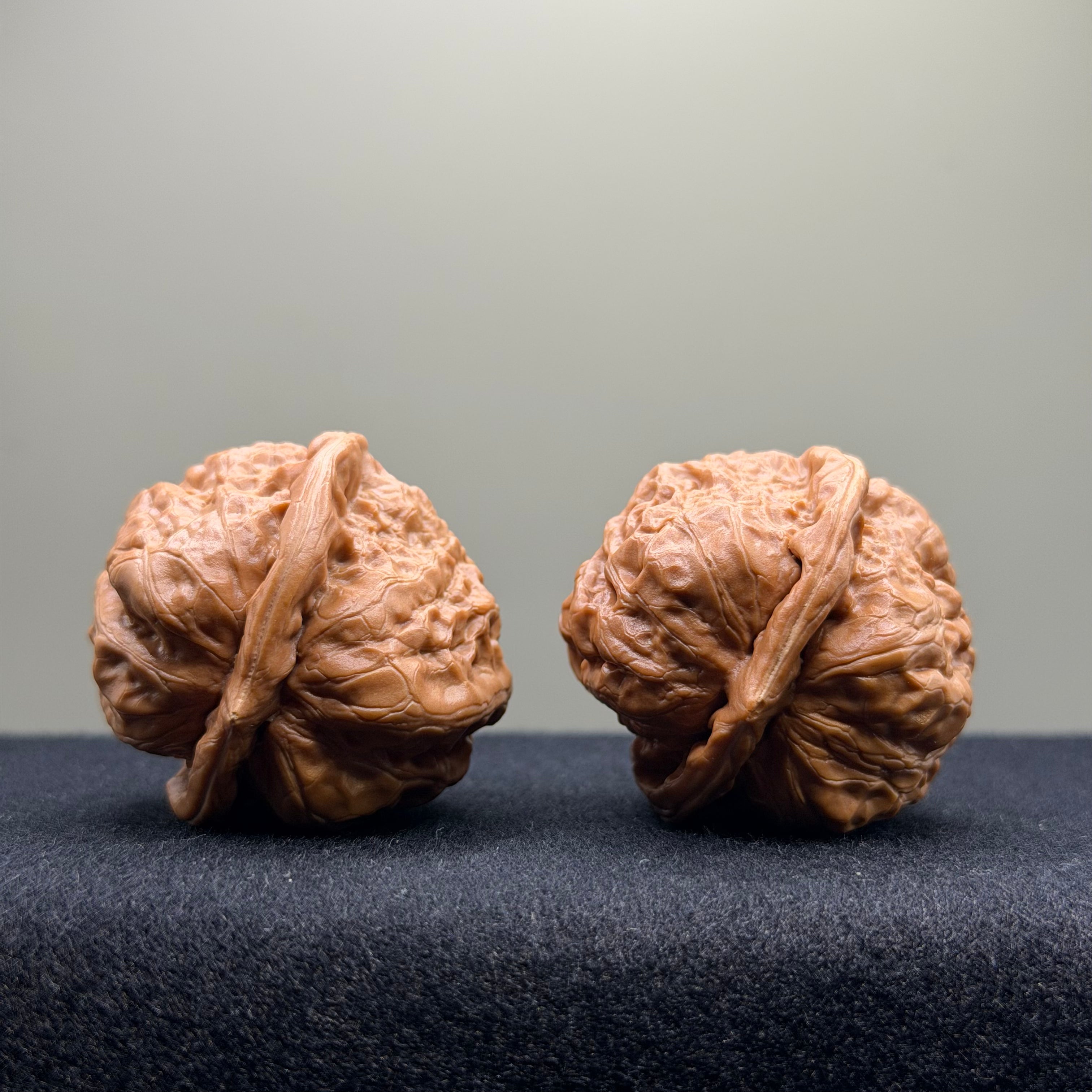 Toad Head Wenwan Walnut · 37mm · Select Ritual