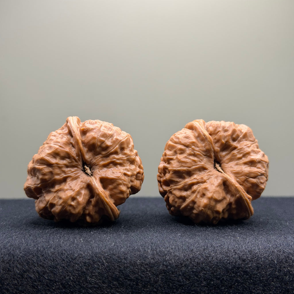 Toad Head Wenwan Walnut · 37mm · Select Ritual