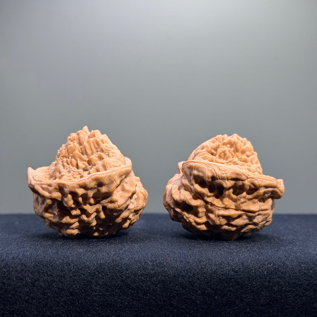 Treasure Basin Mountain Wenwan Walnut · 40mm · Premium Ritual
